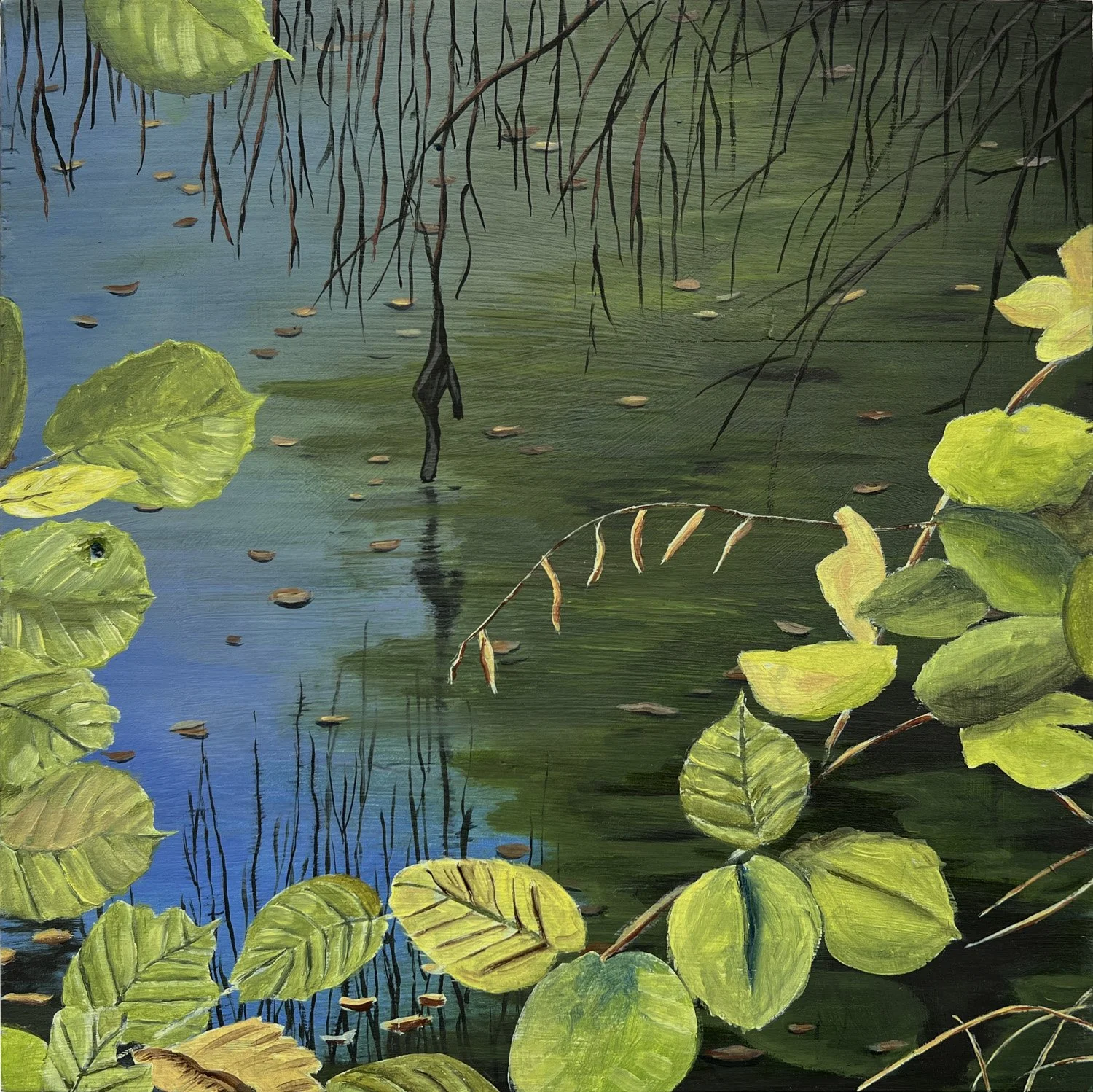 Zoé Edgecomb, Old Rhine Arm with Duckweed, Oil on Wood, 10.5x10.5 in. $400