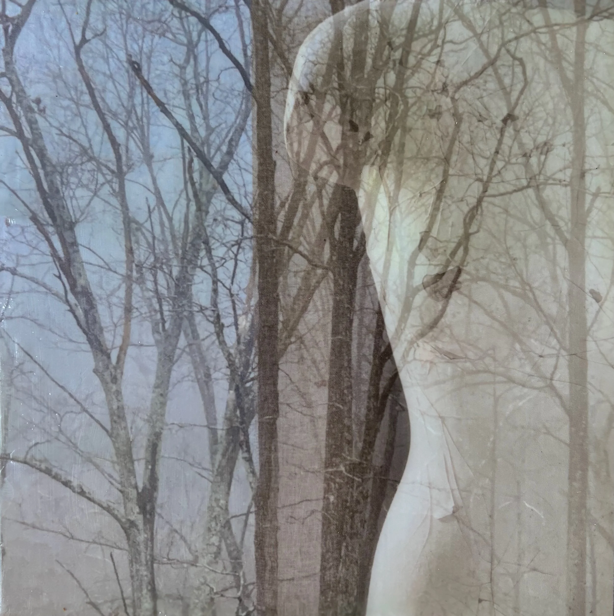 Meg Norling, Branching, Mixed Media