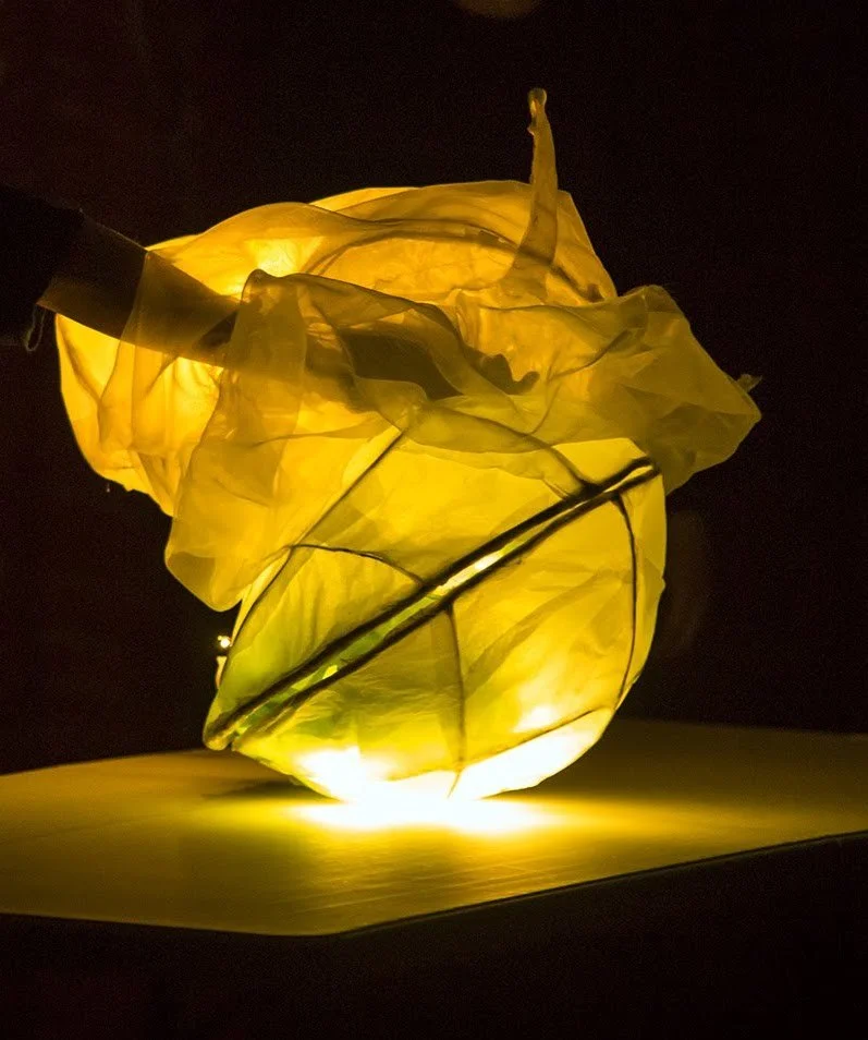 Miranda Elliott Radner, Luminary Lamp Workshop with Miranda from Nettle Shirts Puppet Work , $250