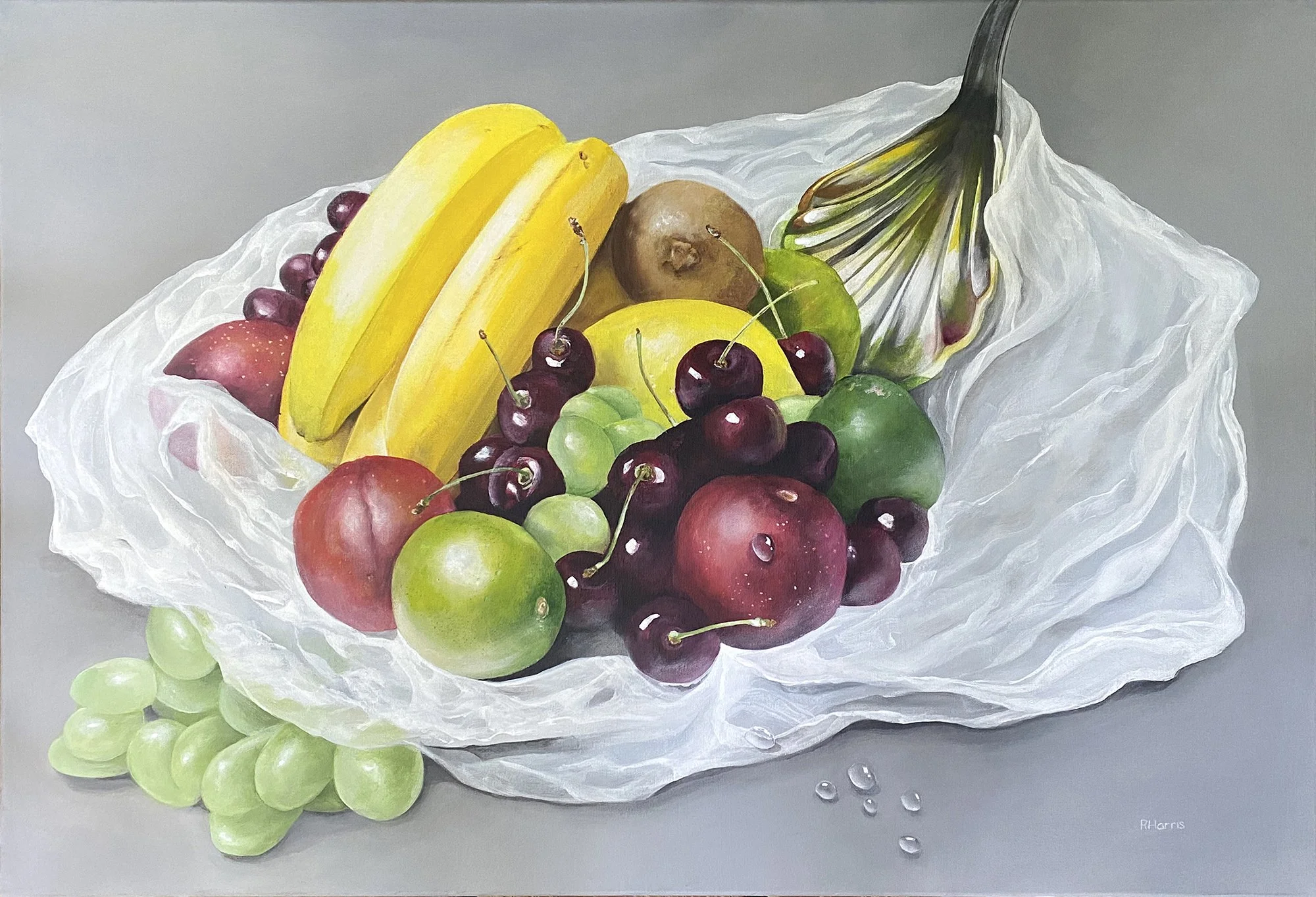 Robin Harris, Rainbow Fruit Bowl, Acrylic on canvas, 24x36 in. $900