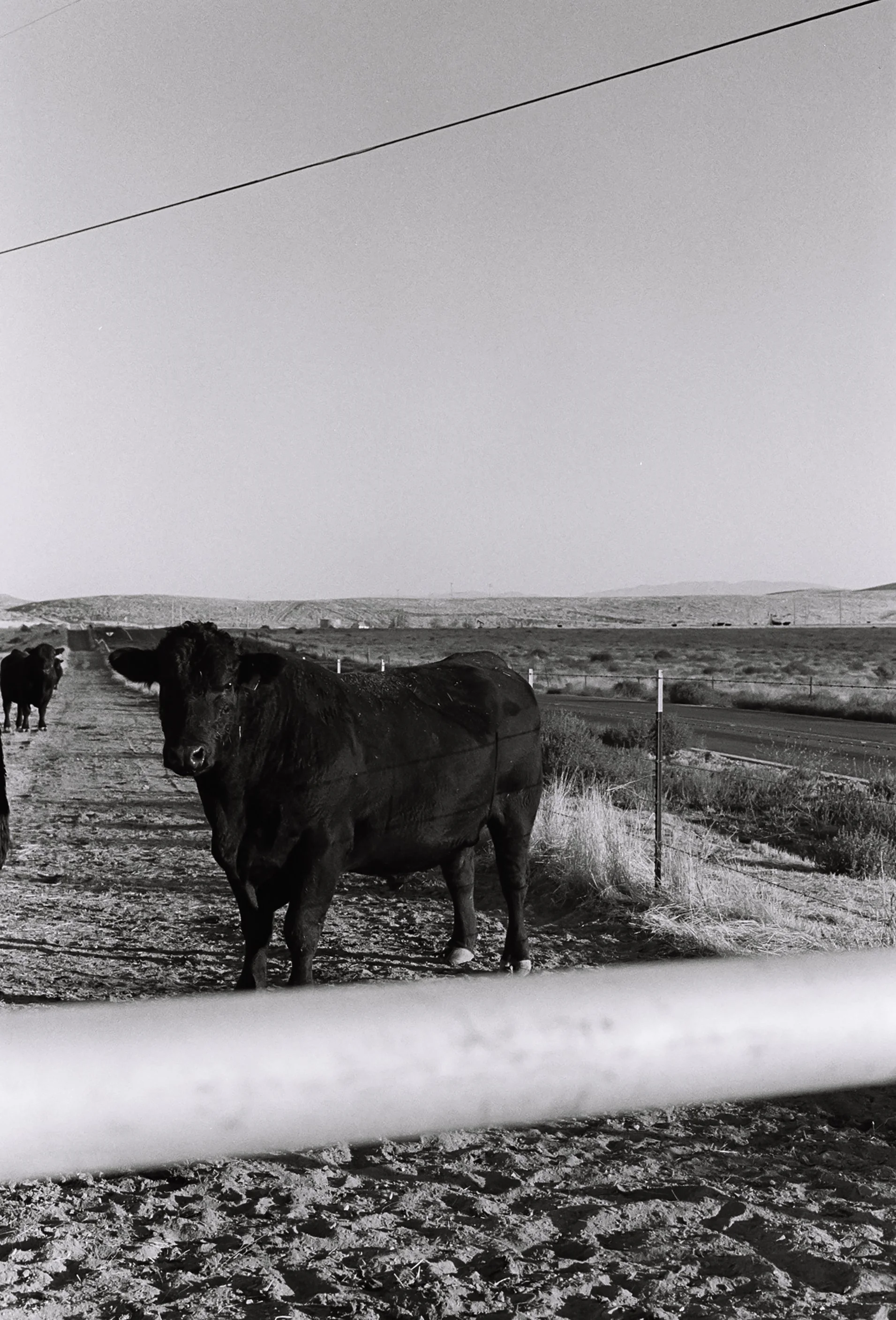 California Coast // CA