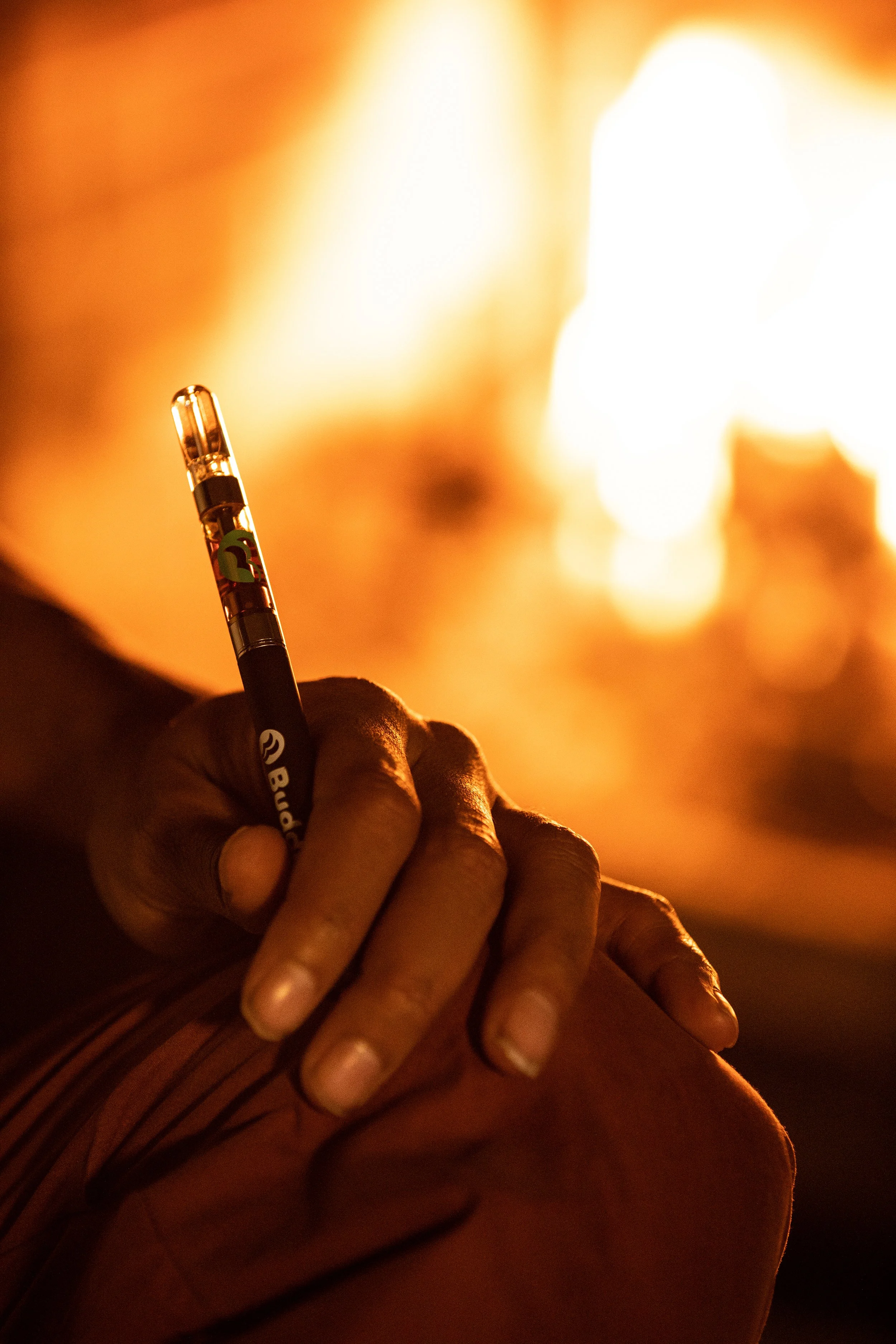 Pen in front of fire 3.jpg