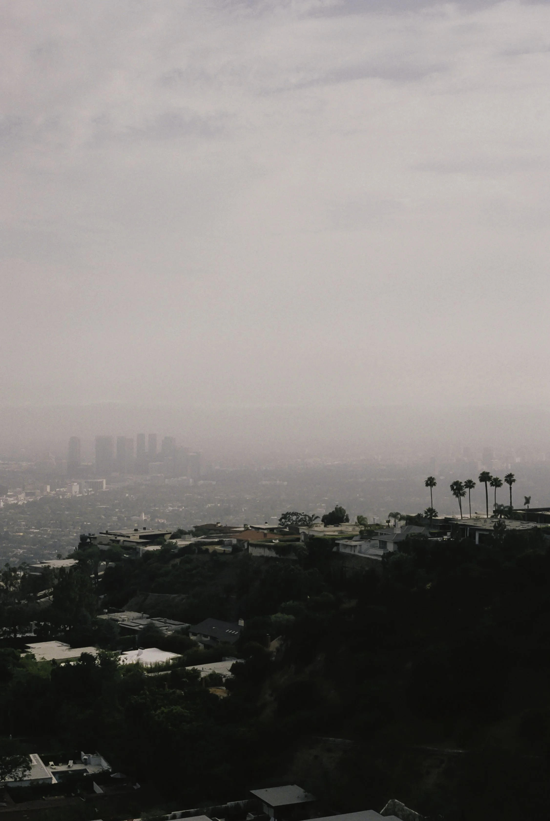 Overlook in Hollywood Hills.JPG