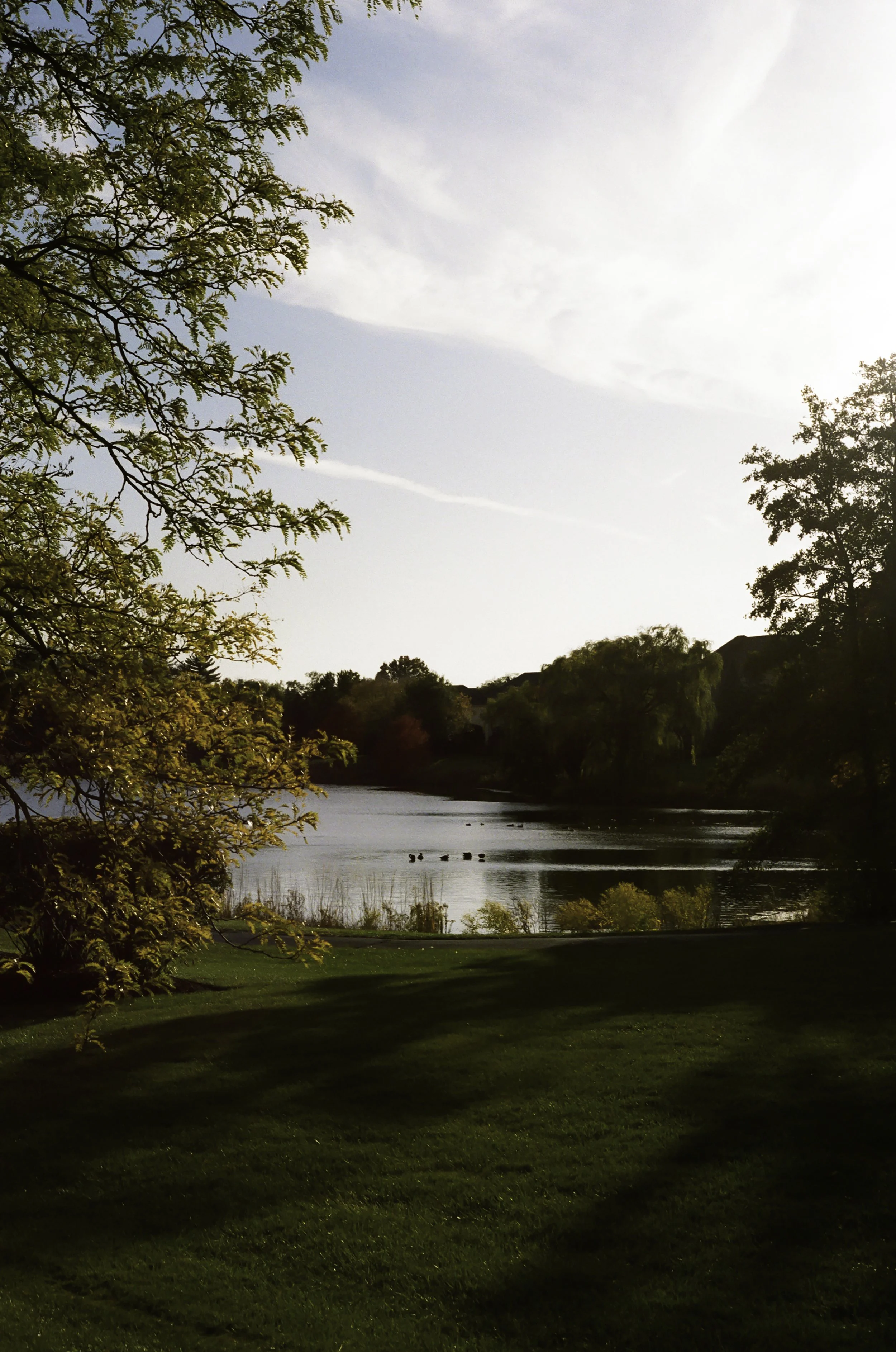 Pond in Naperville.JPG