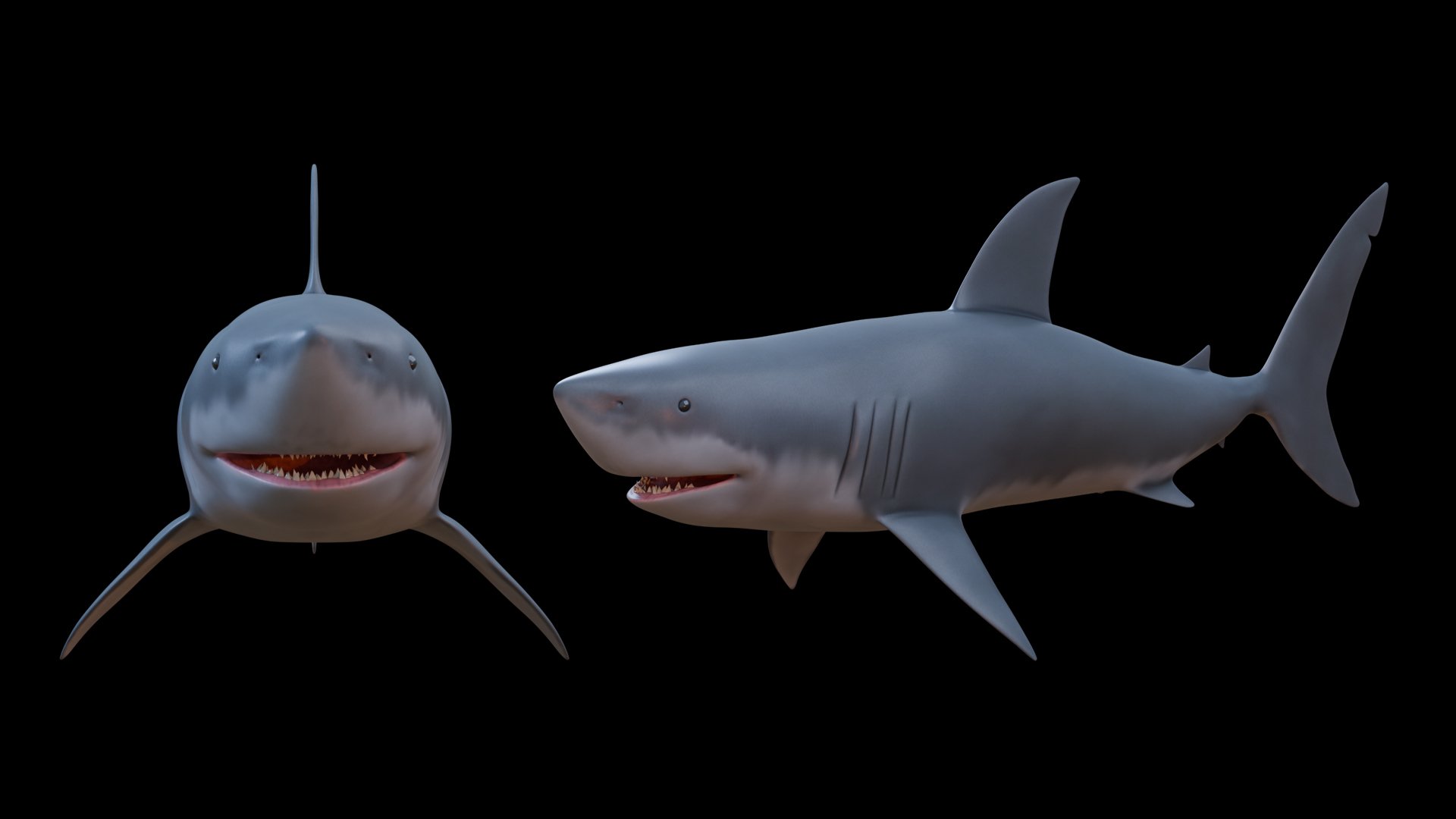 sharkRender.jpg