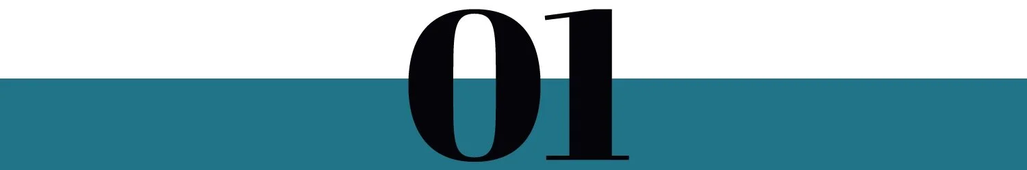 image-asset copy.png