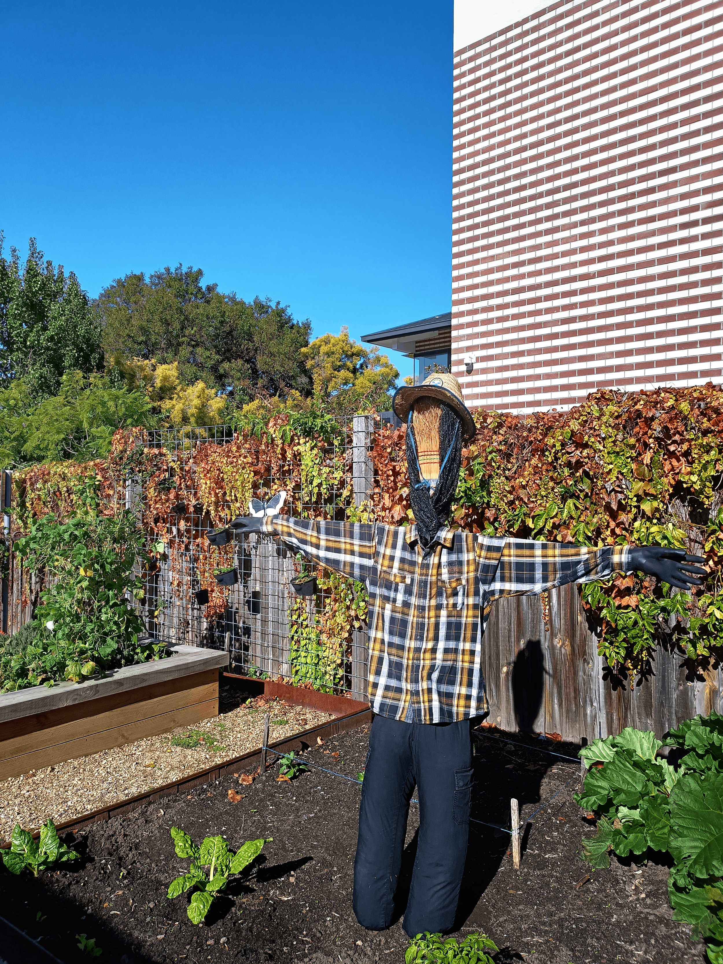 Scarecrow 4.png