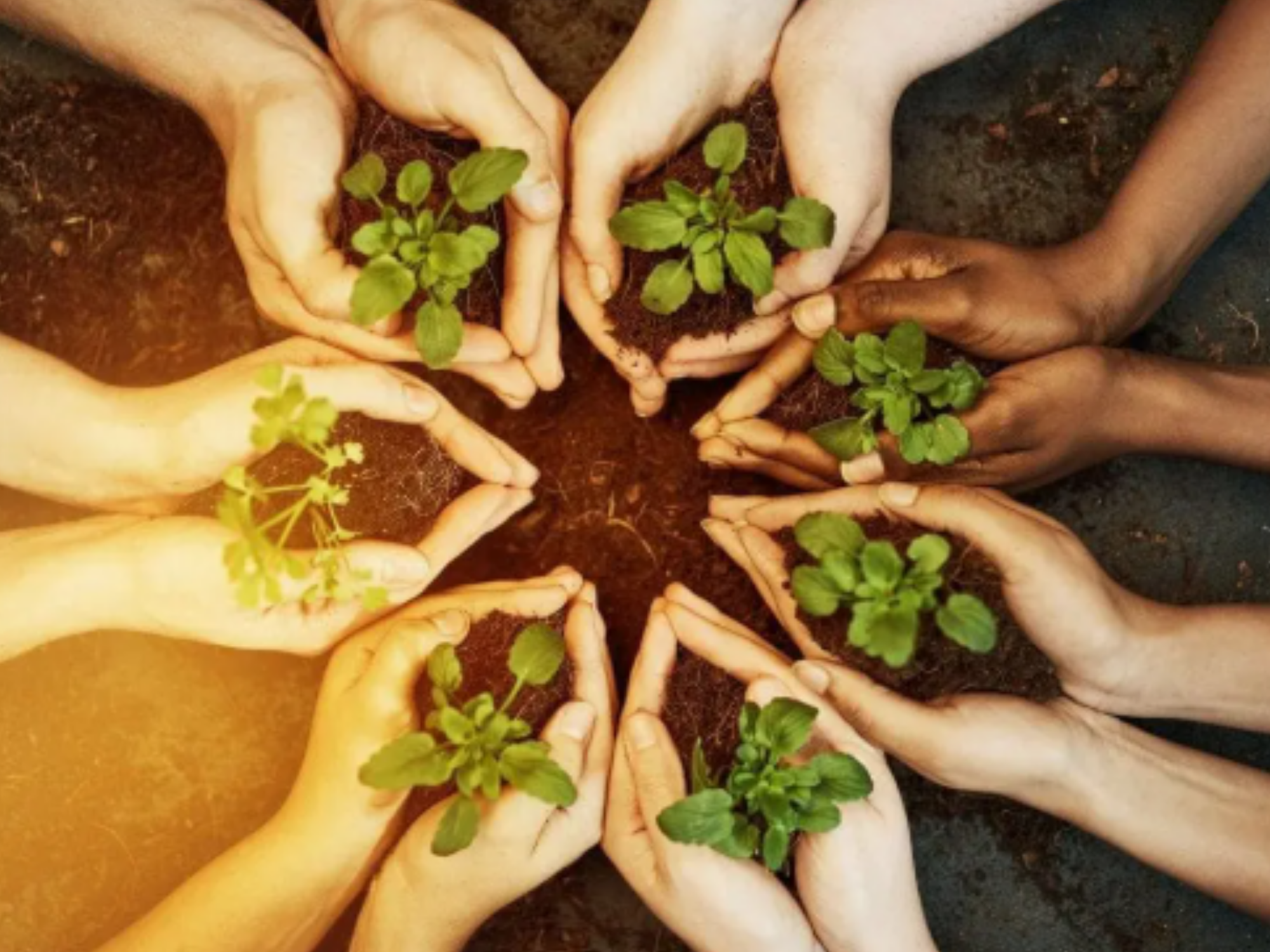 Community Hangout Replays