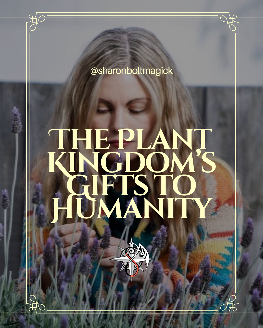 The Plant Kingdom’s Gifts To Humanity
