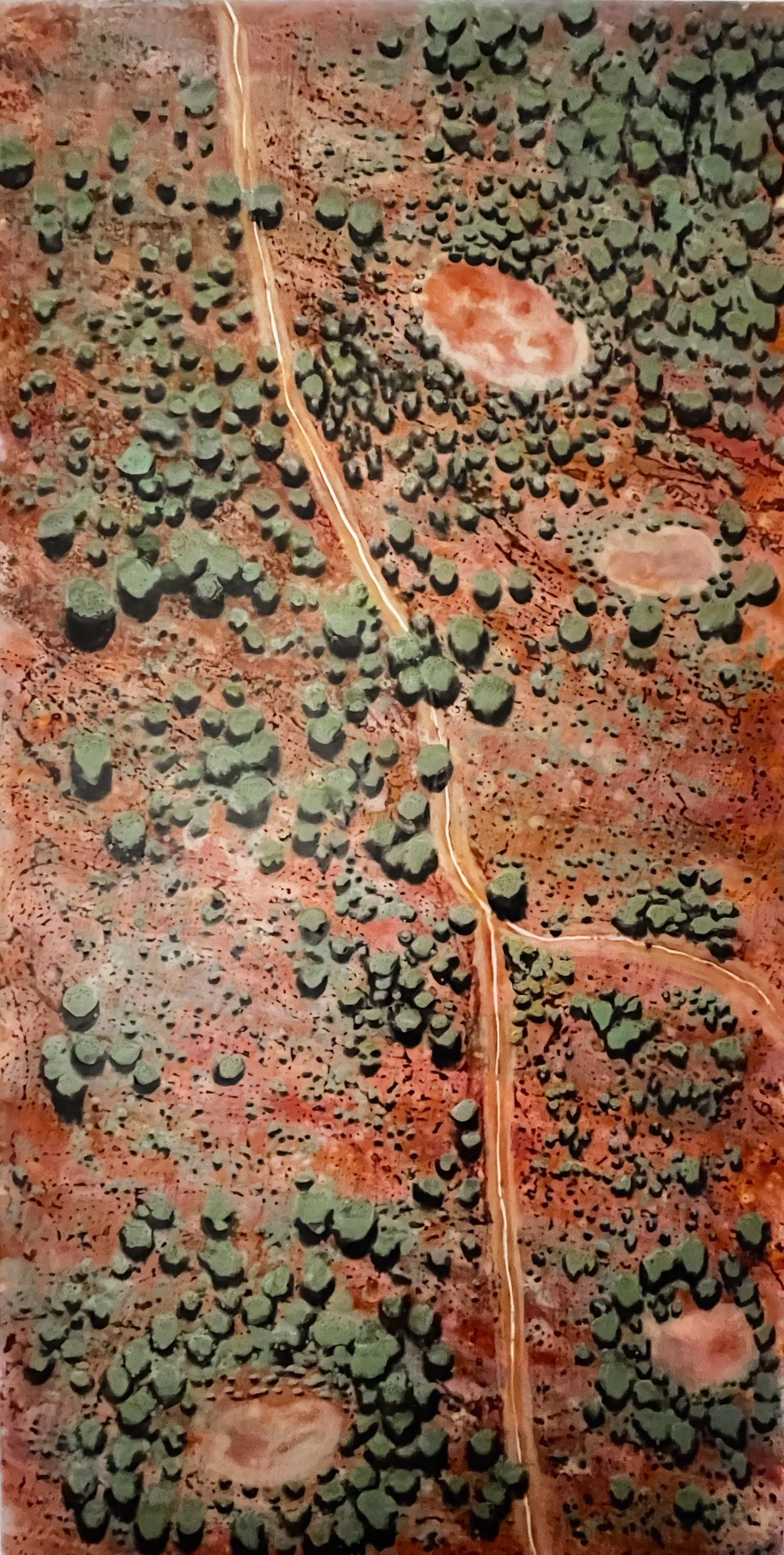 Outback Track 2.jpg