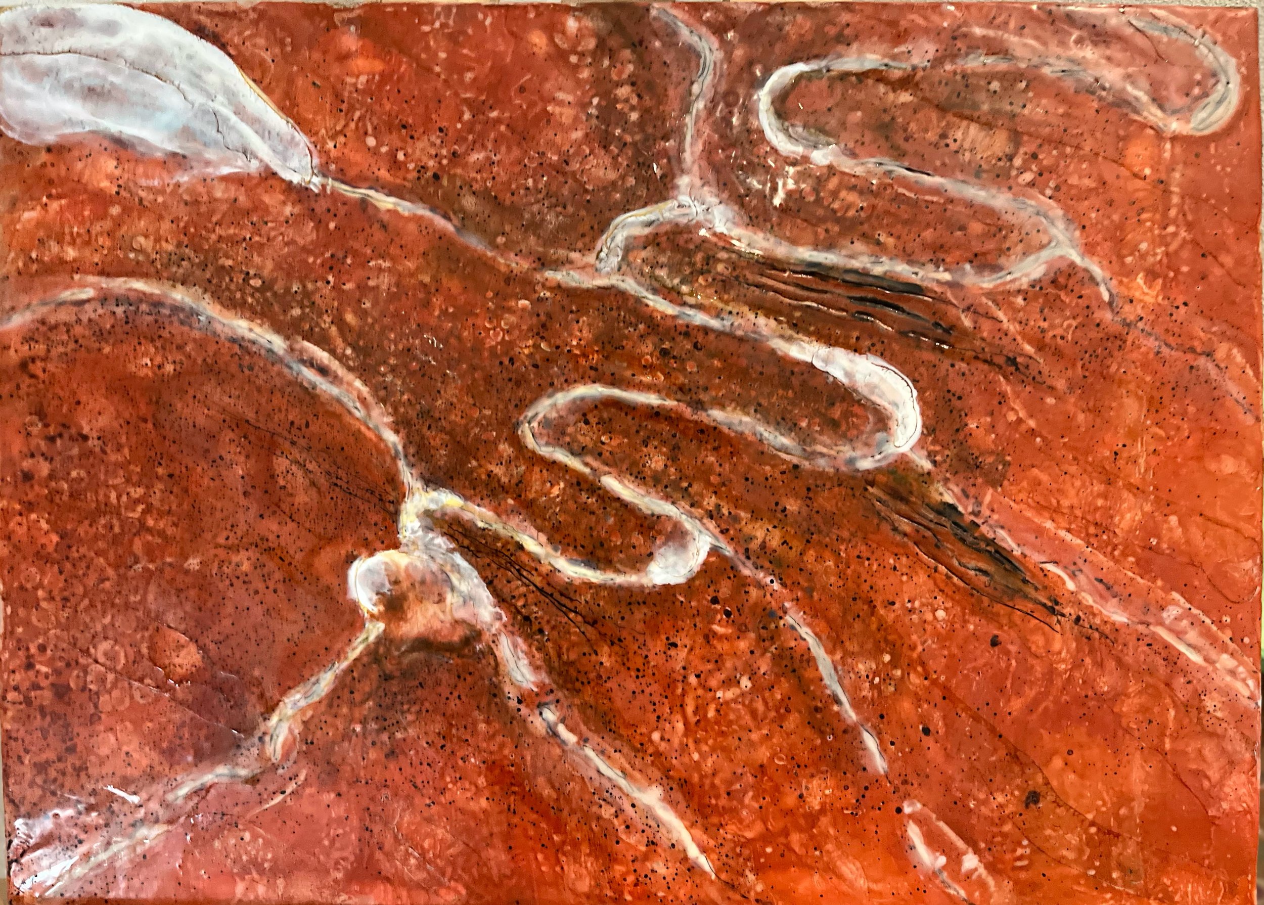 Alluvial Traces 2025.jpeg