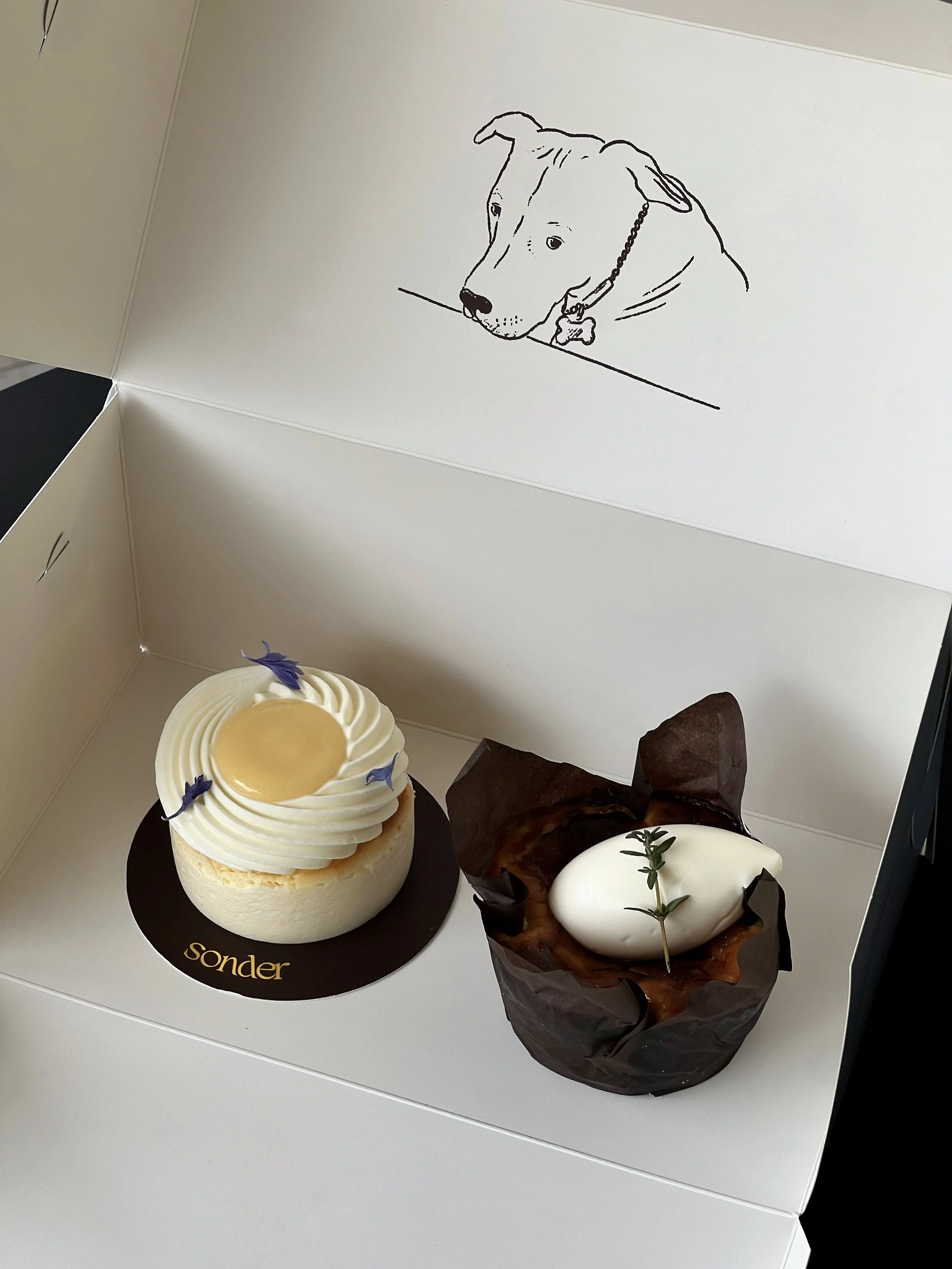 2025-10-10 10.15.18-1.jpg