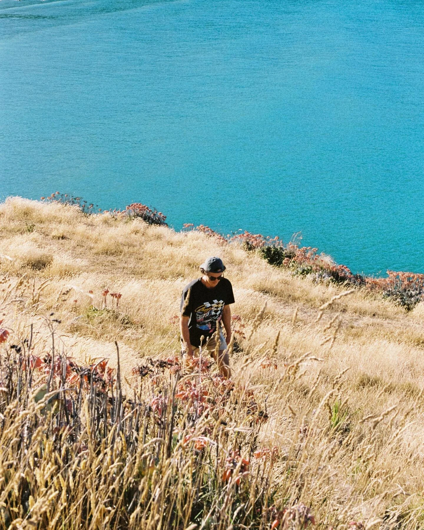 summer ❤️&zwj;🔥

#portra400