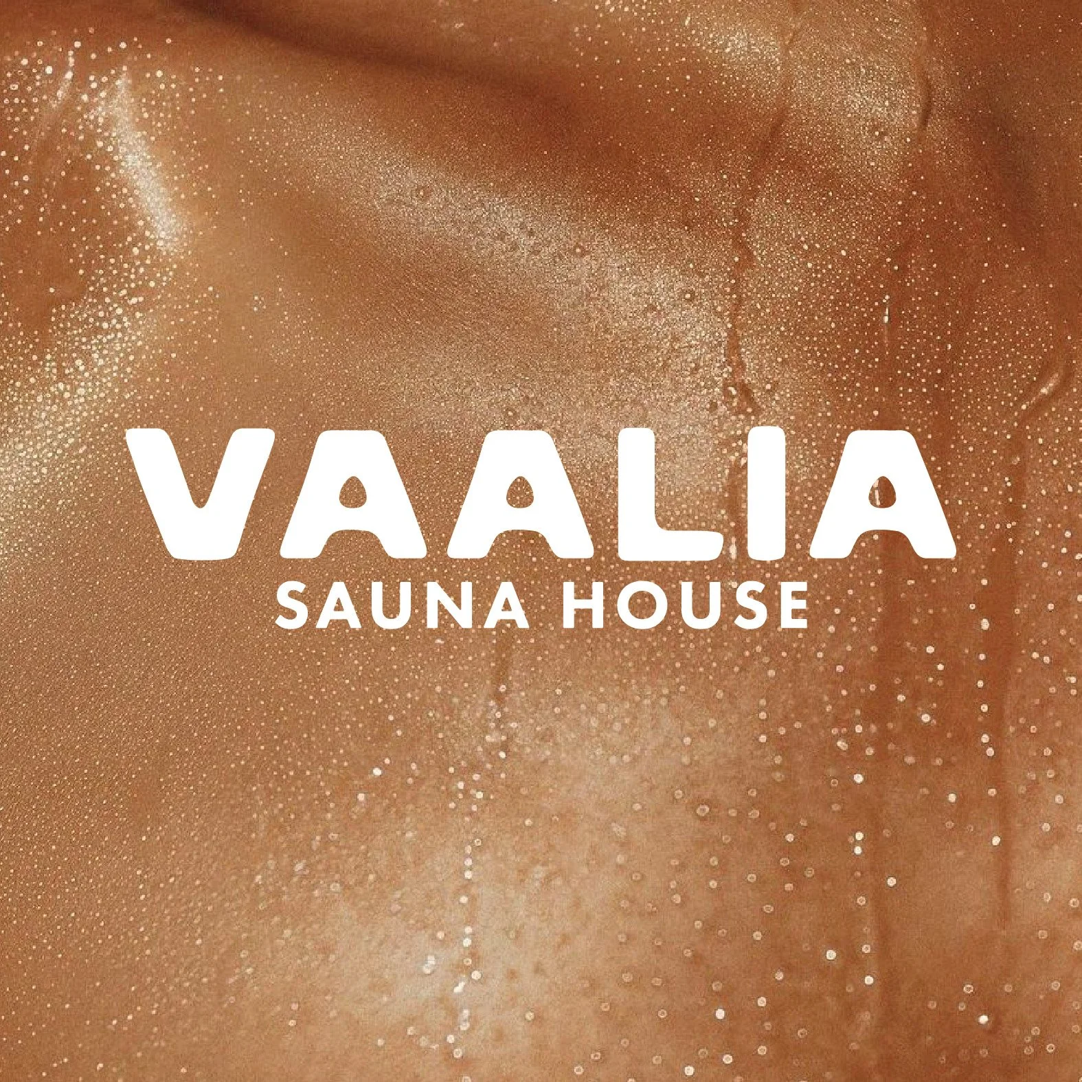 Text overlay on a textured, metallic background that reads 'VIALIA SAUNA HOUSE'.