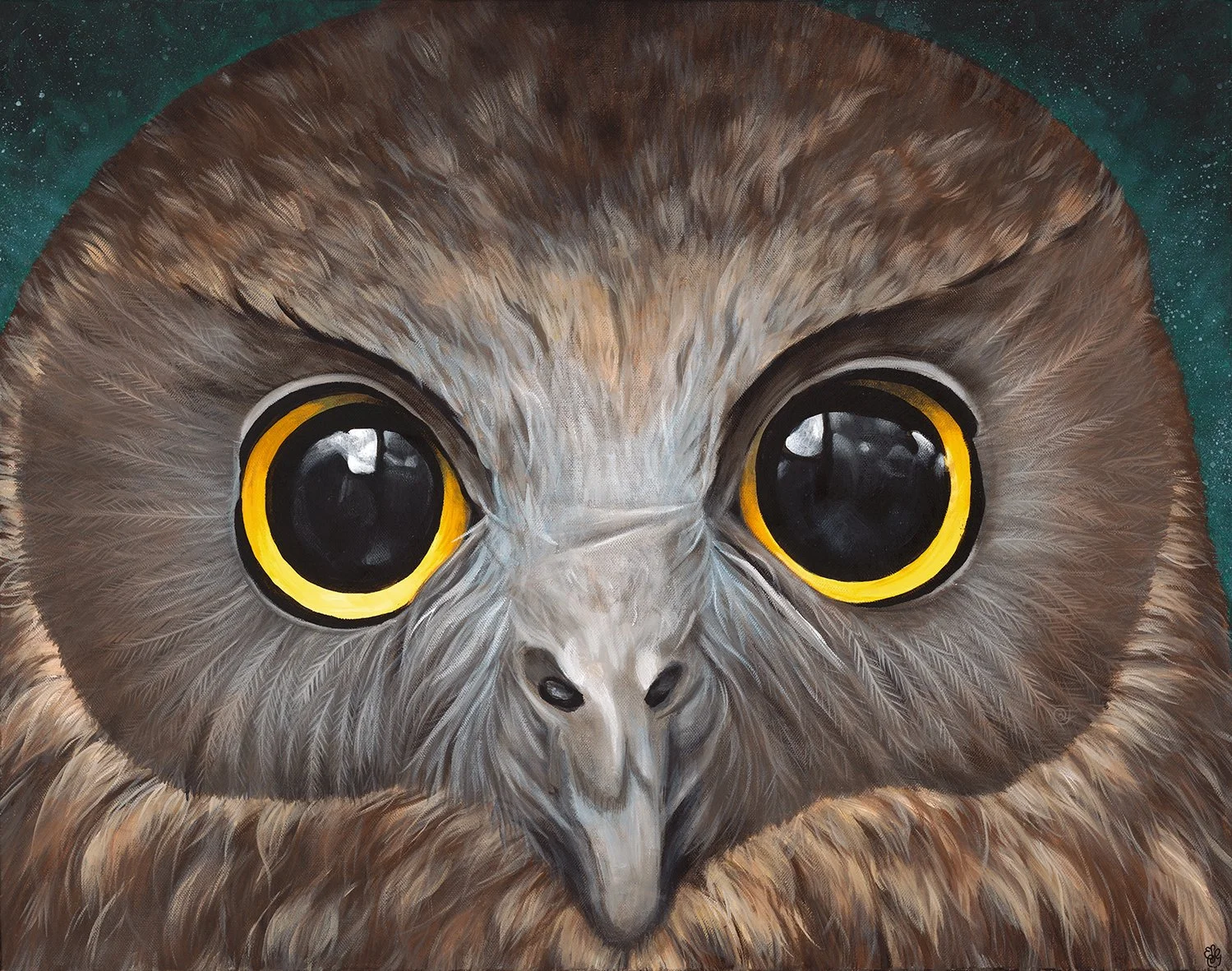 Ruru close up