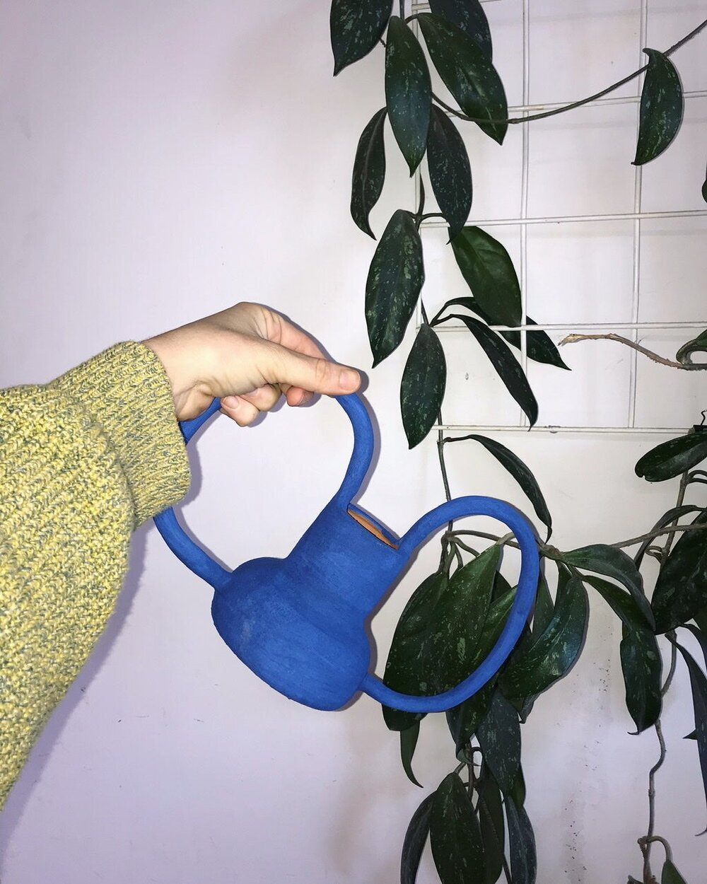Sole Ceramics