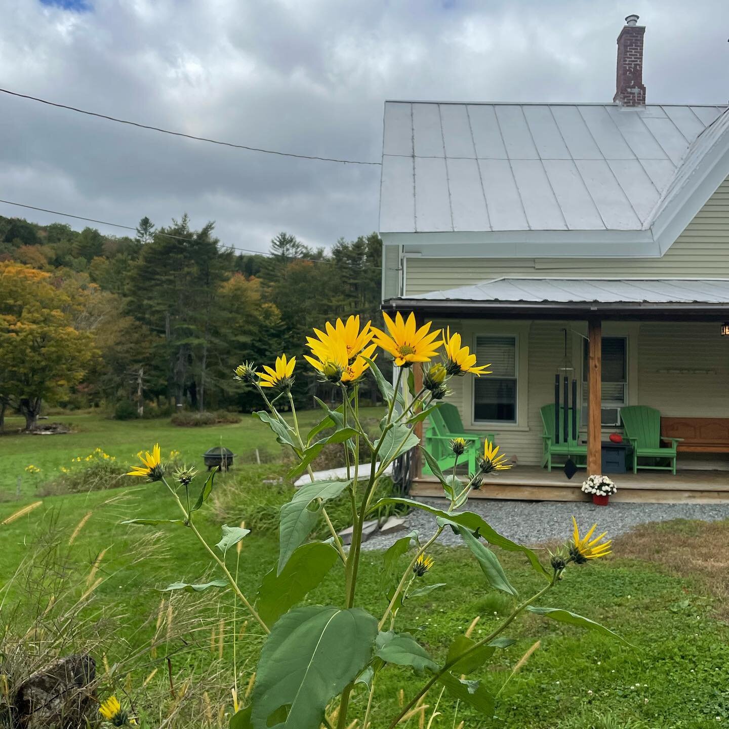 🌲🌲🌲The Farmhouse @milldalefarm STAY cozy ! ✌️🌲❤️🍁✨ it&rsquo;s darling 🌼#vermont #vermontretreat #vermontyoga