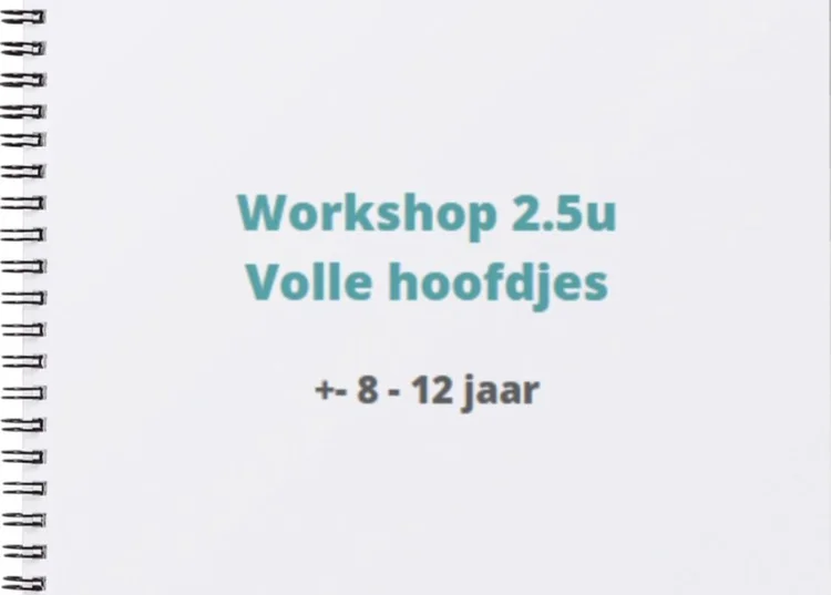 Workshop Volle Hoofden