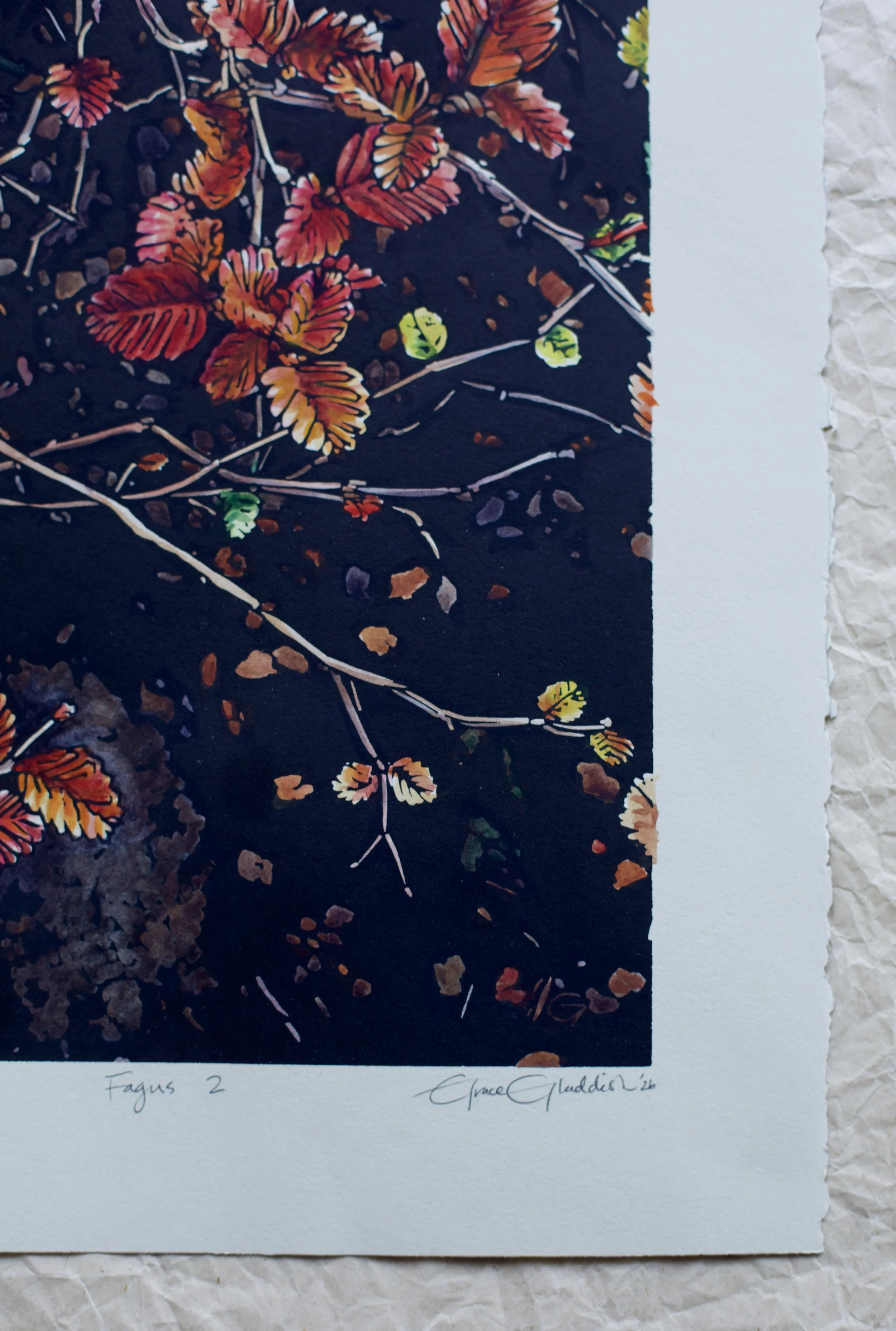 Grace Gladdish Tasmanian Artist printmaker