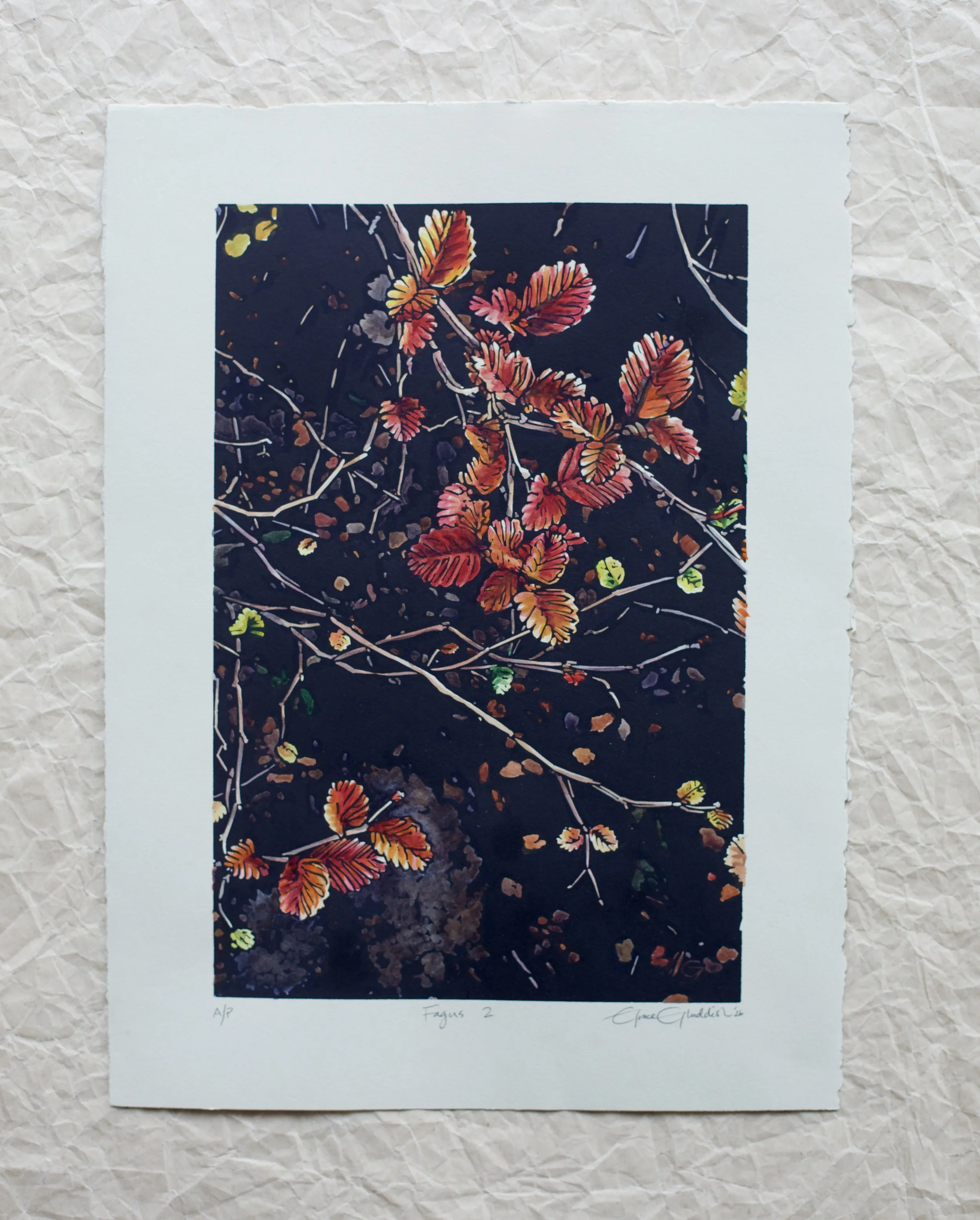 Grace Gladdish Tasmanian Artist