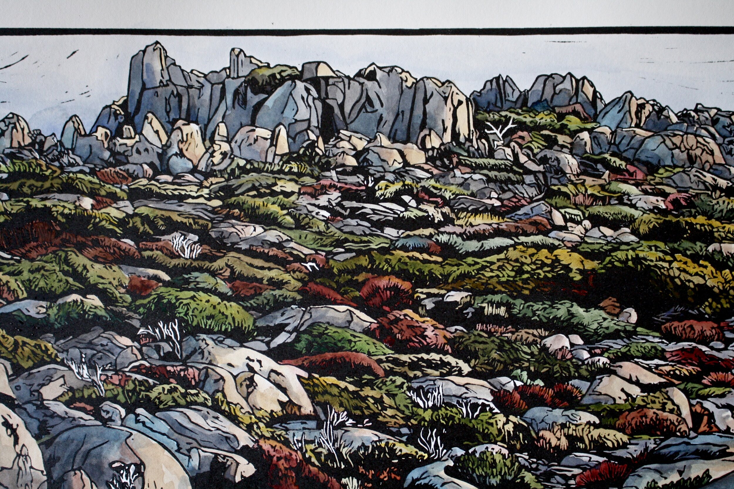 Grace Gladdish Tasmanian Artist alpine landscape