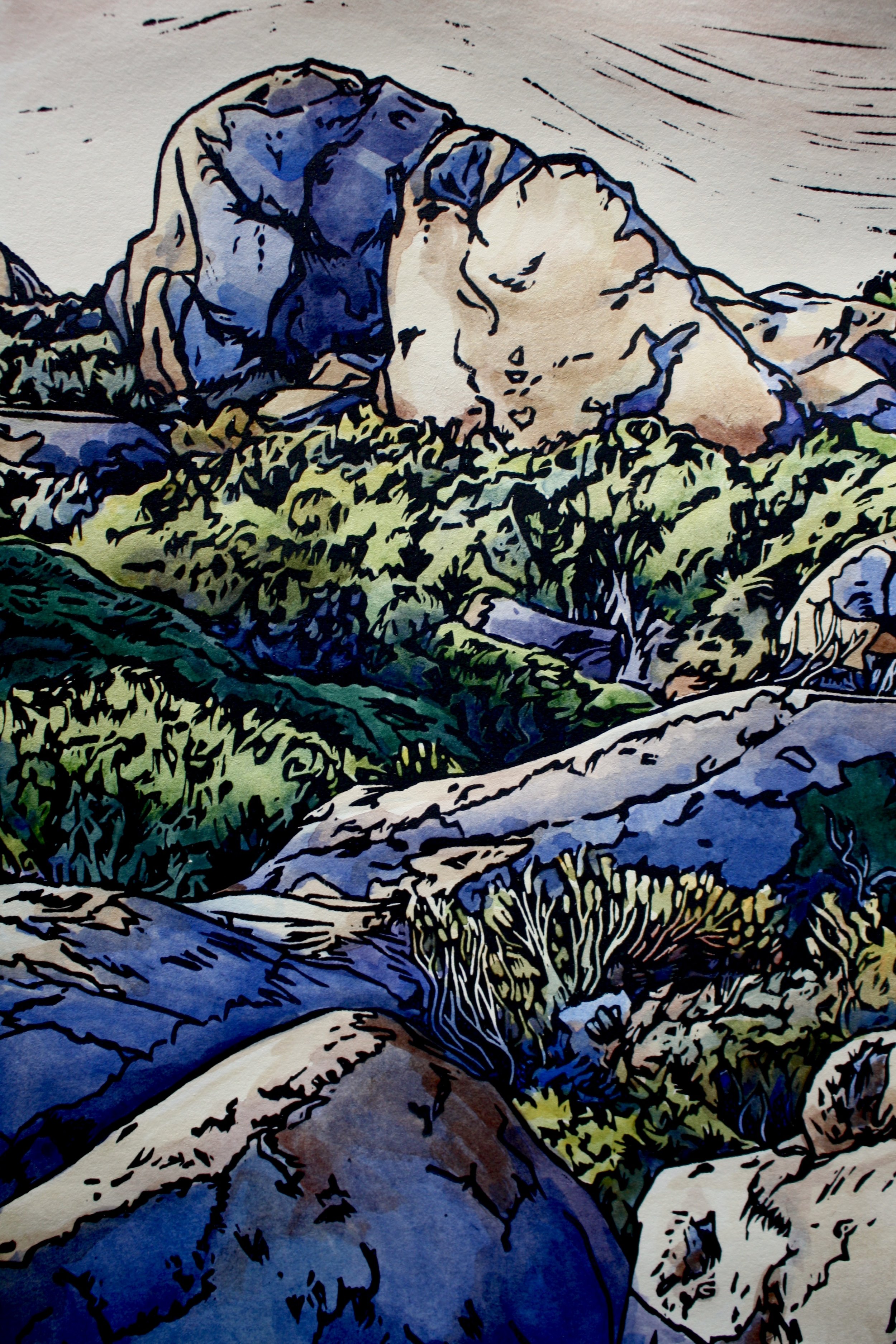 Grace Gladdish Tasmanian Artist alpine landscape
