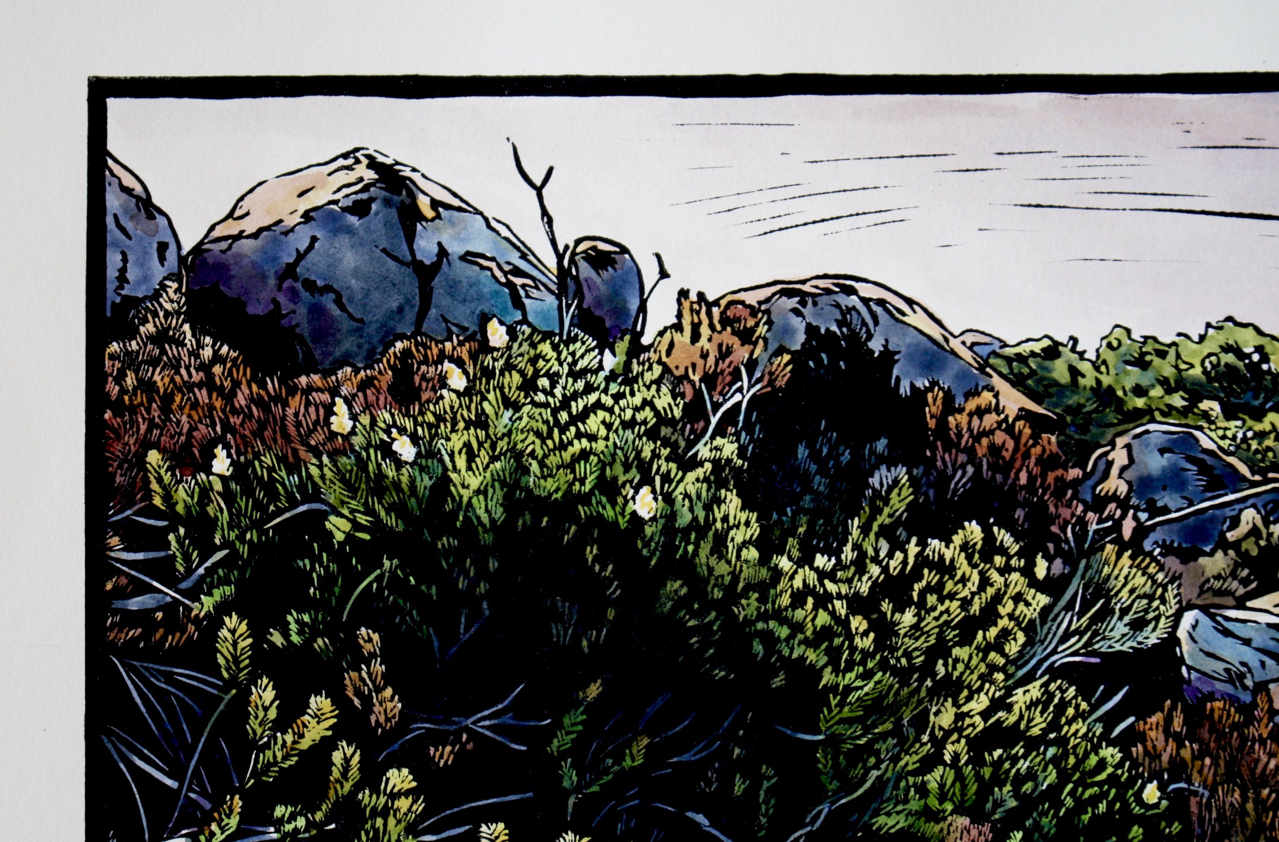 Grace Gladdish Tasmanian Artist printmaker