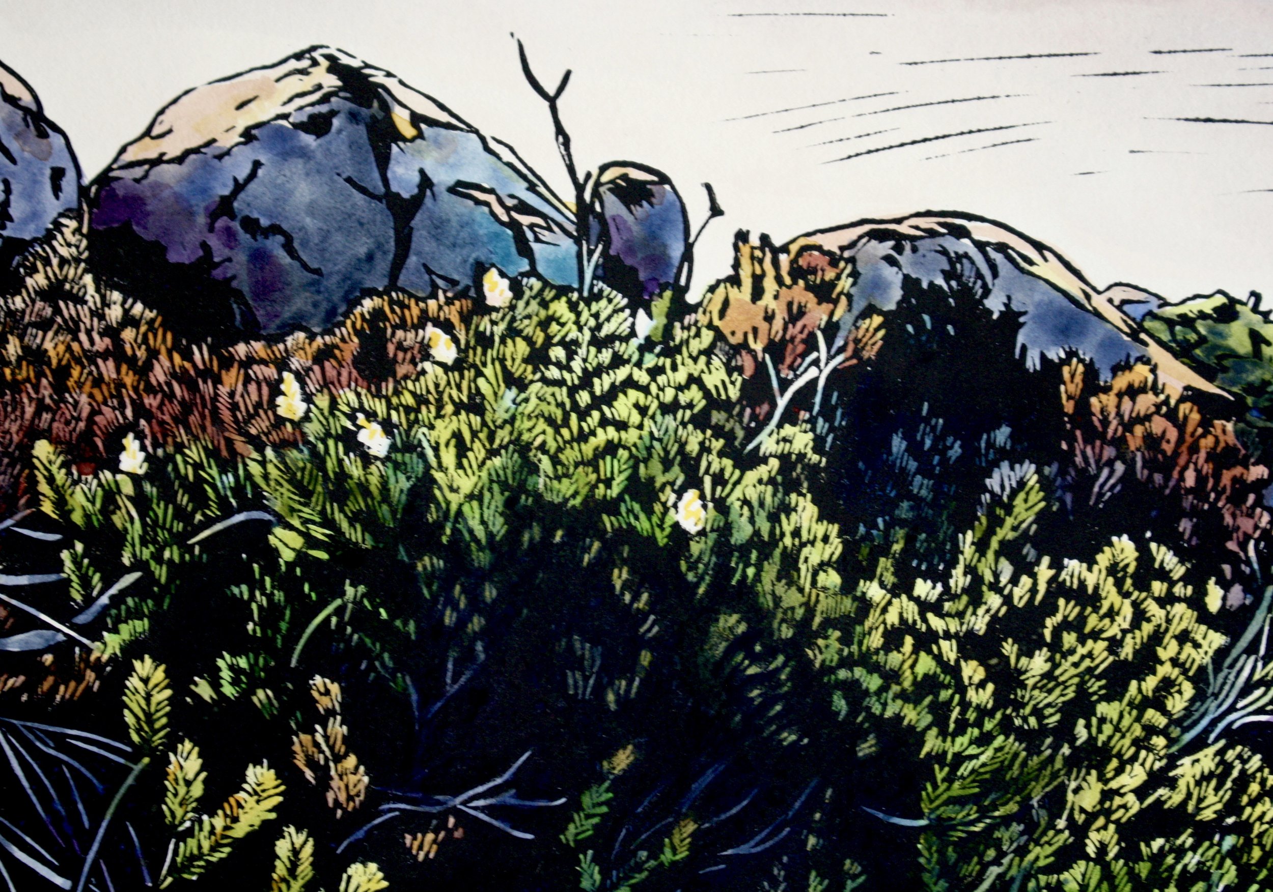 Grace Gladdish Tasmanian Artist
