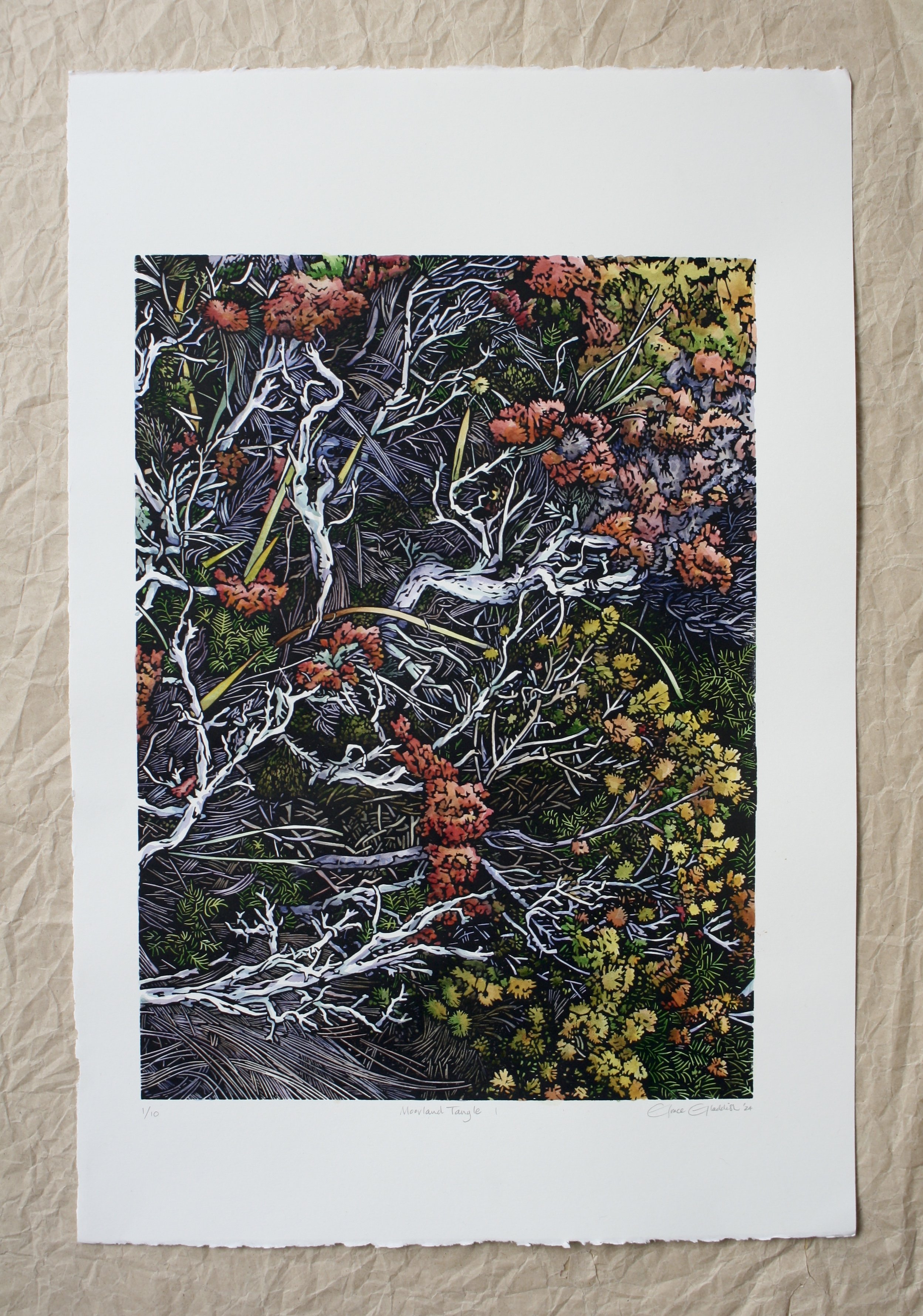 Grace Gladdish Tasmanian Artist printmaker