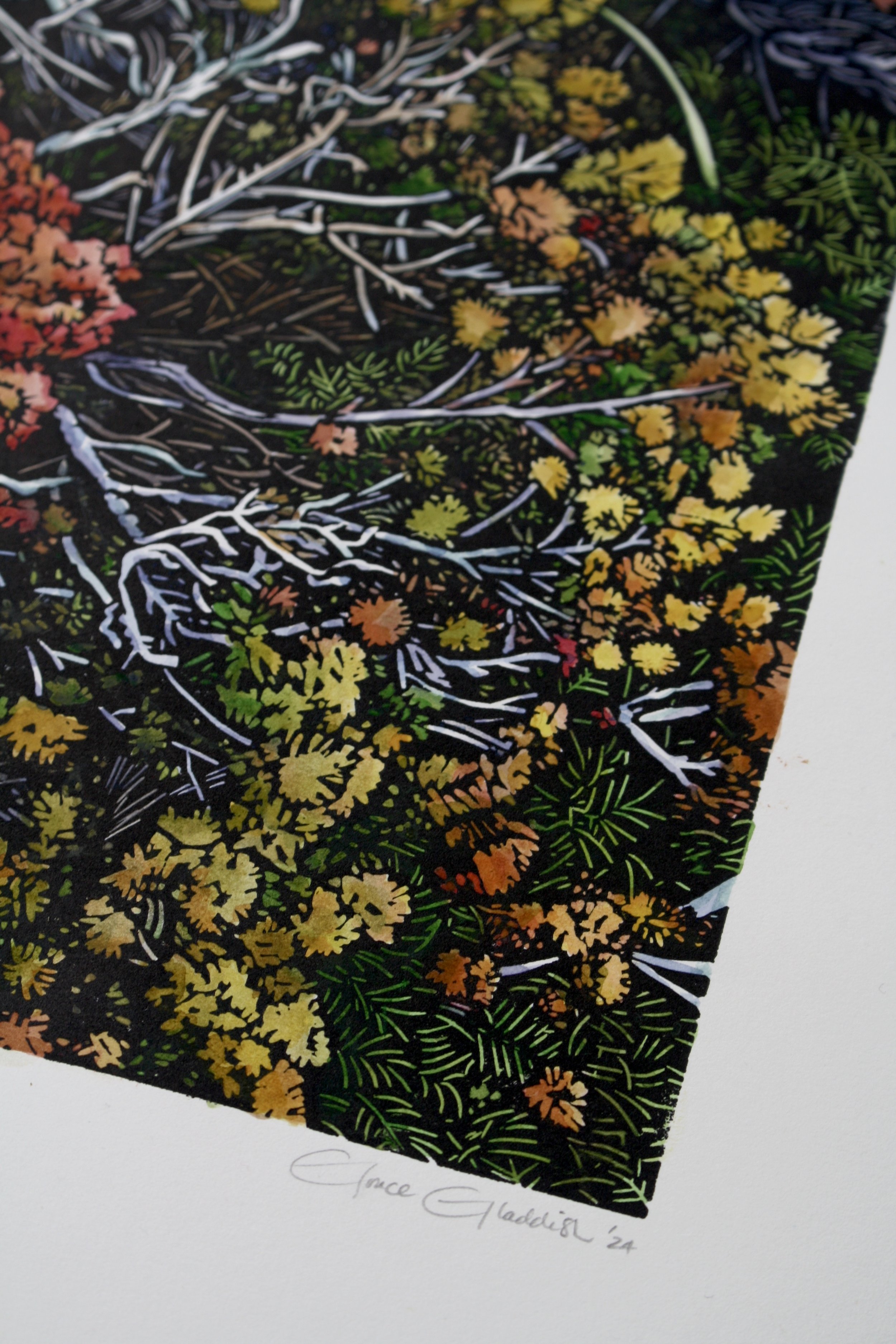 Grace Gladdish Tasmanian Artist