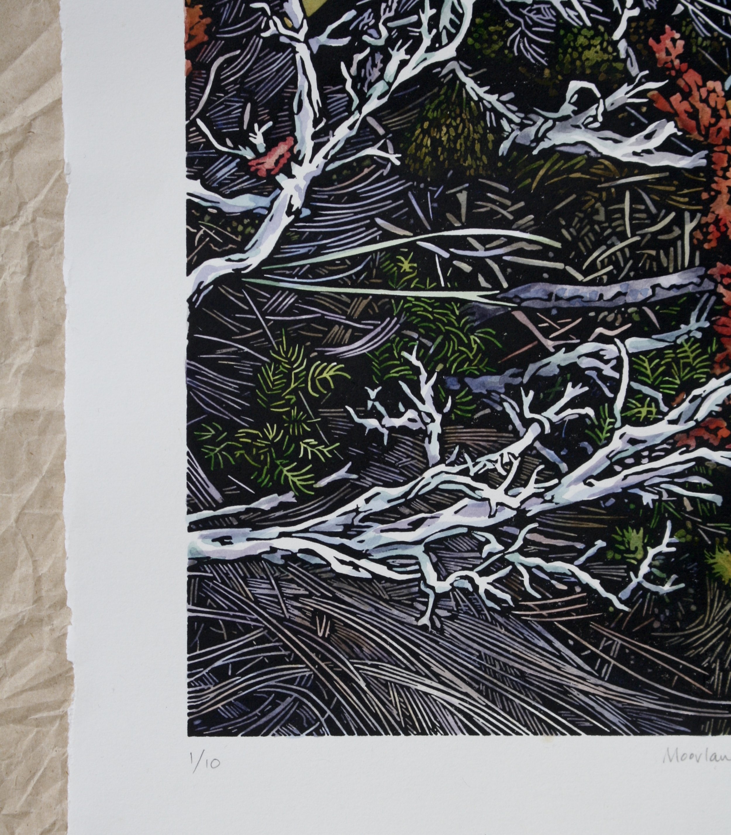 Grace Gladdish Tasmanian Artist alpine landscape