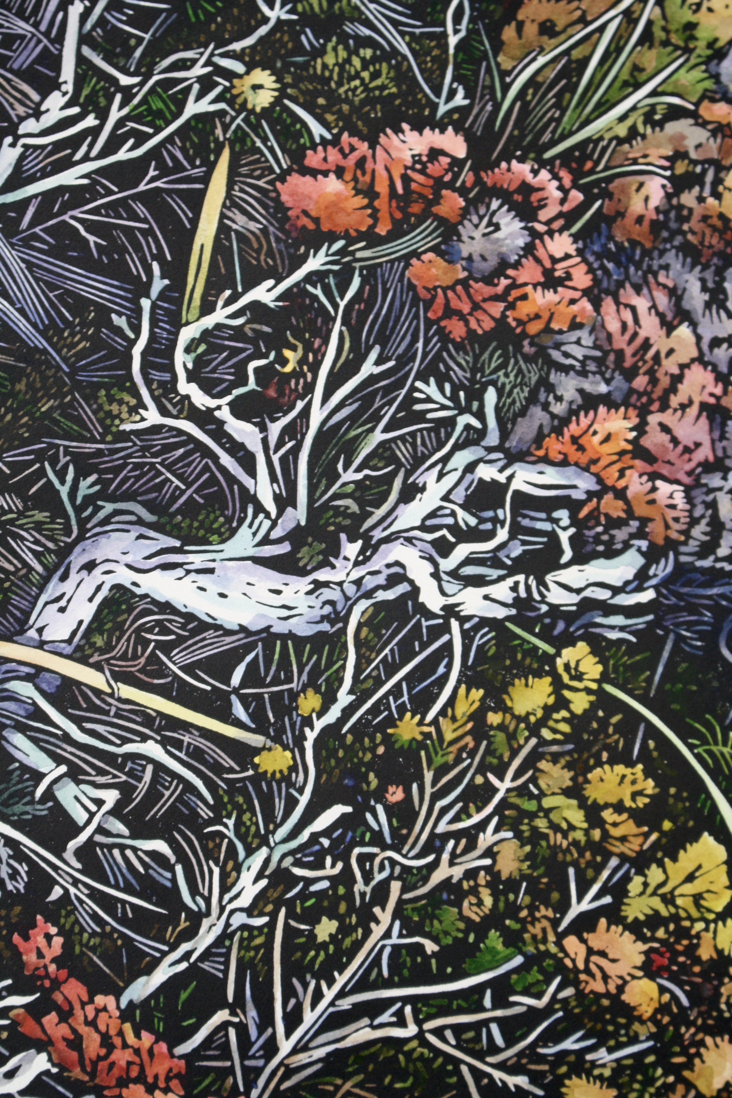 Grace Gladdish Tasmanian Artist printmaker