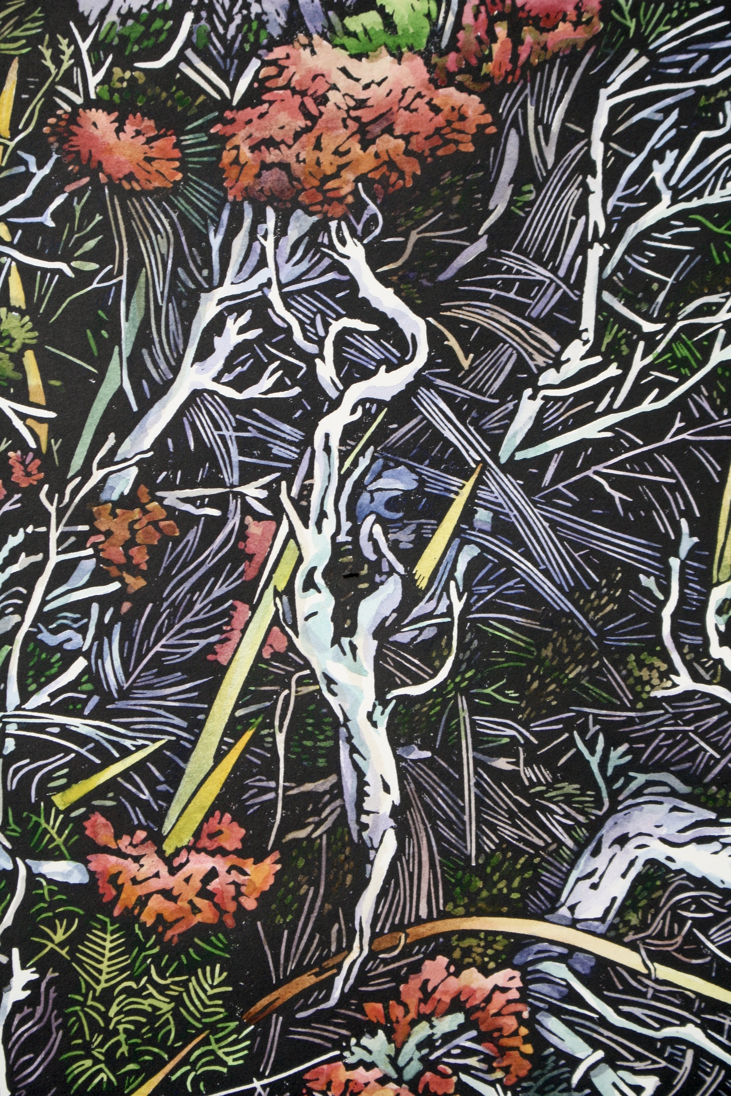Grace Gladdish Tasmanian Artist printmaker