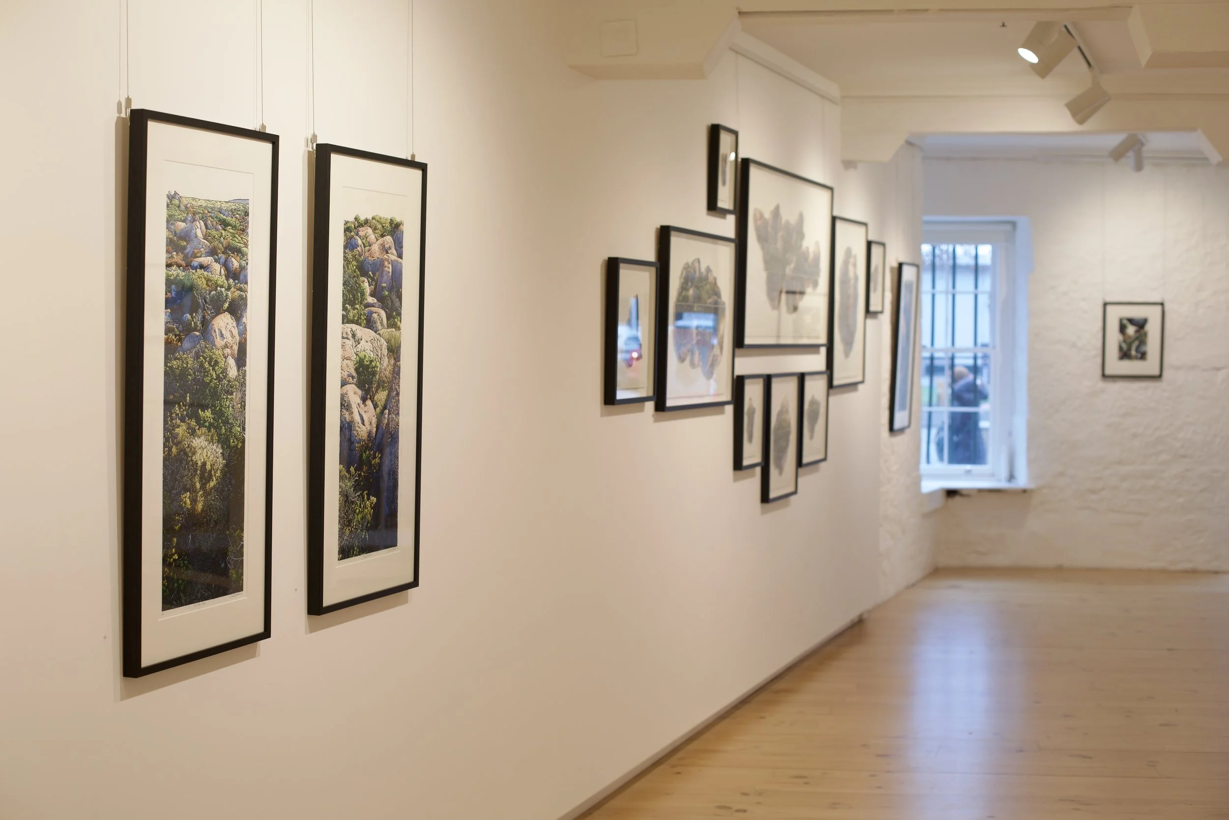 ‘Elevation’ opens at salamanca