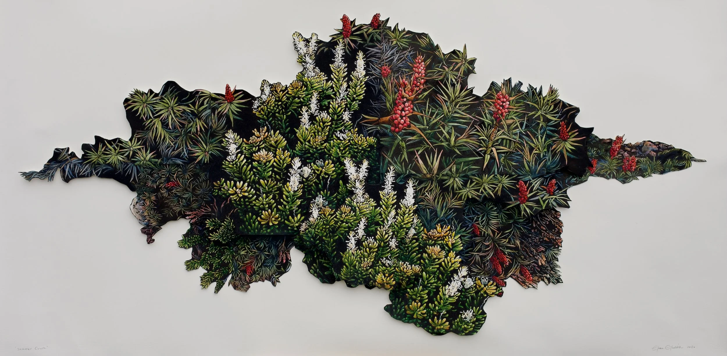 Bay of Fires Art Prize 2026