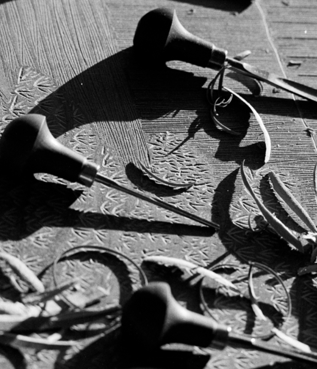 ‘Surfacing’ At Devonport Regional Gallery