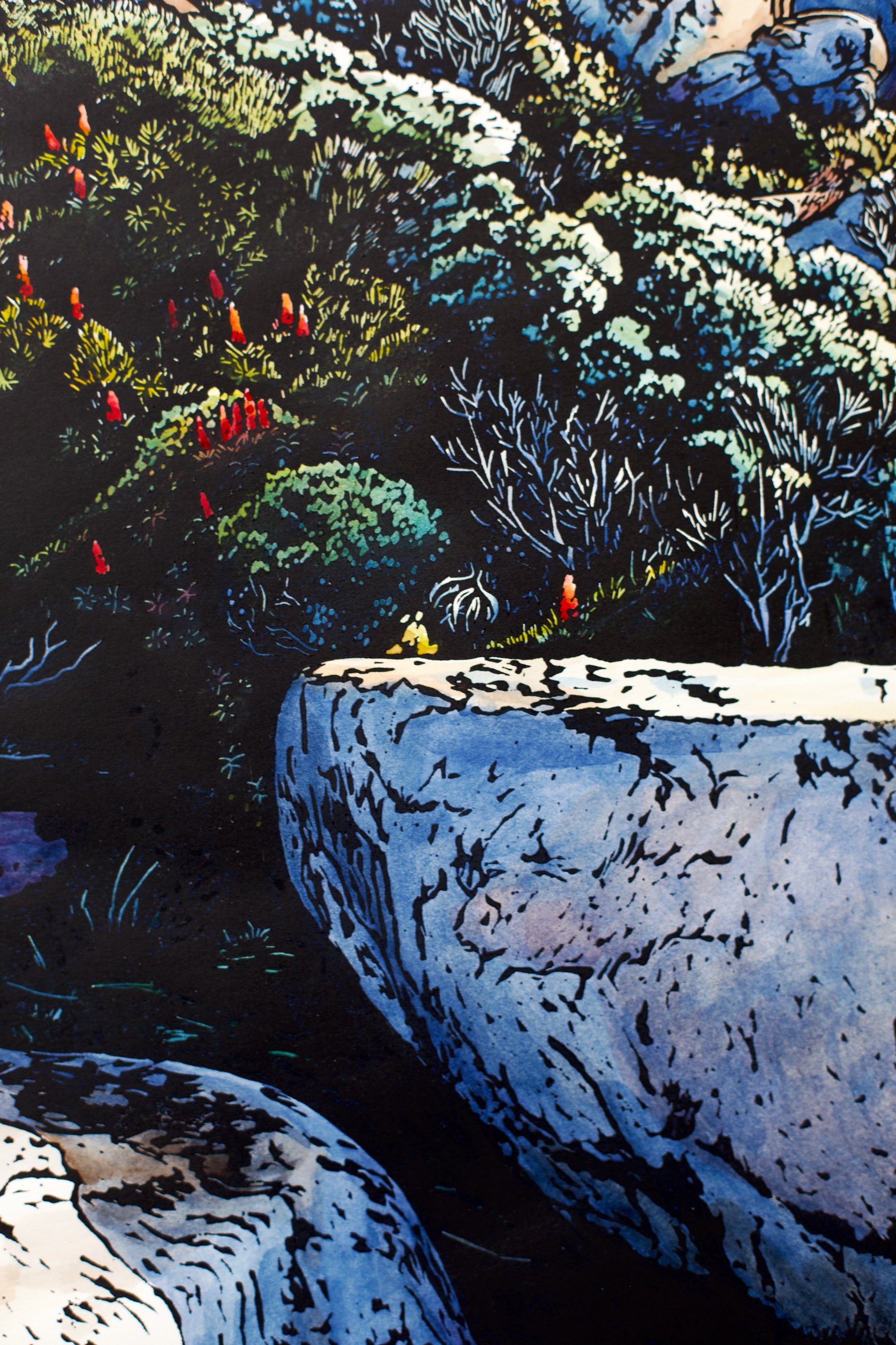 Grace Gladdish Tasmanian Artist