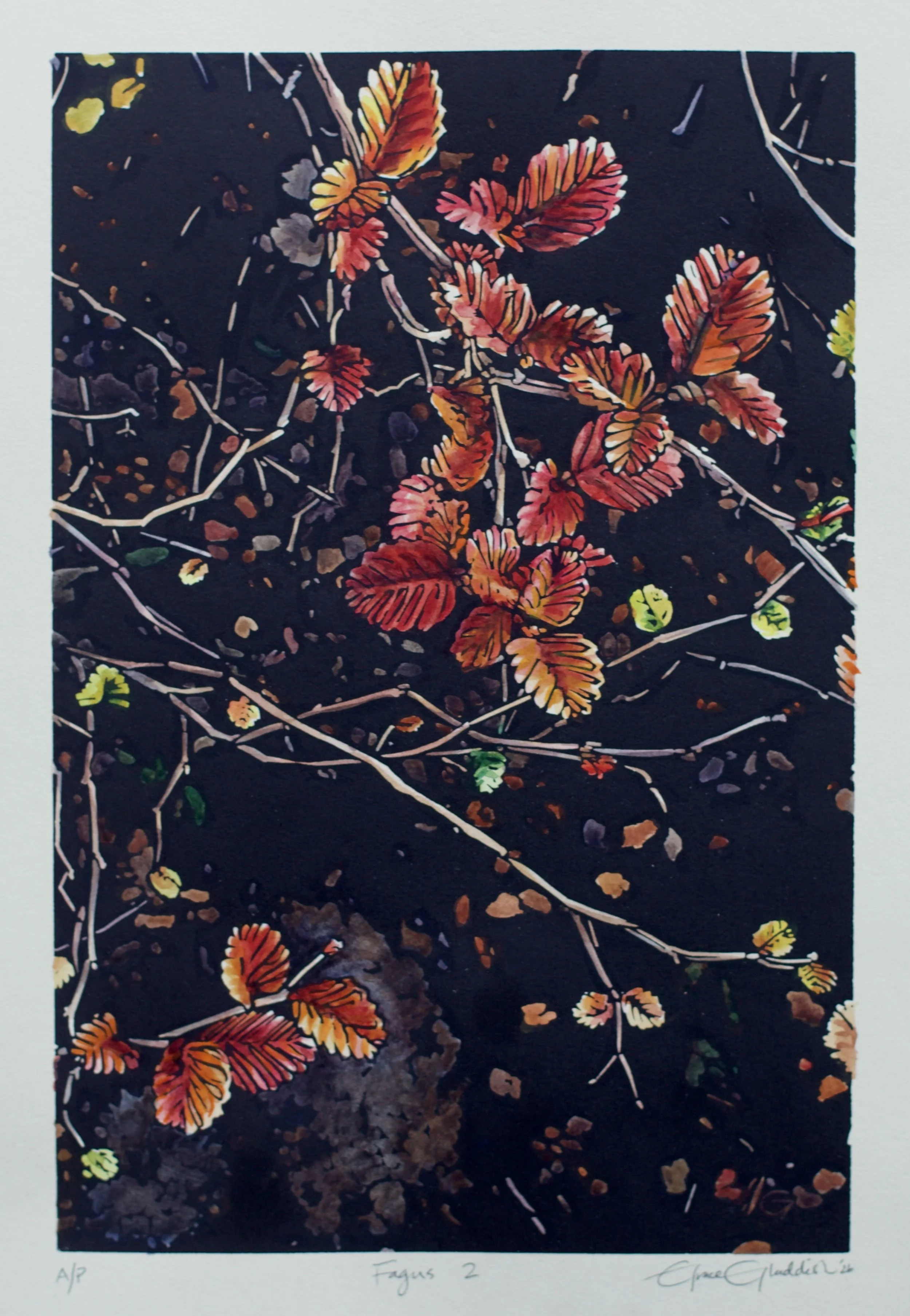 Grace Gladdish Tasmanian Artist linocut
