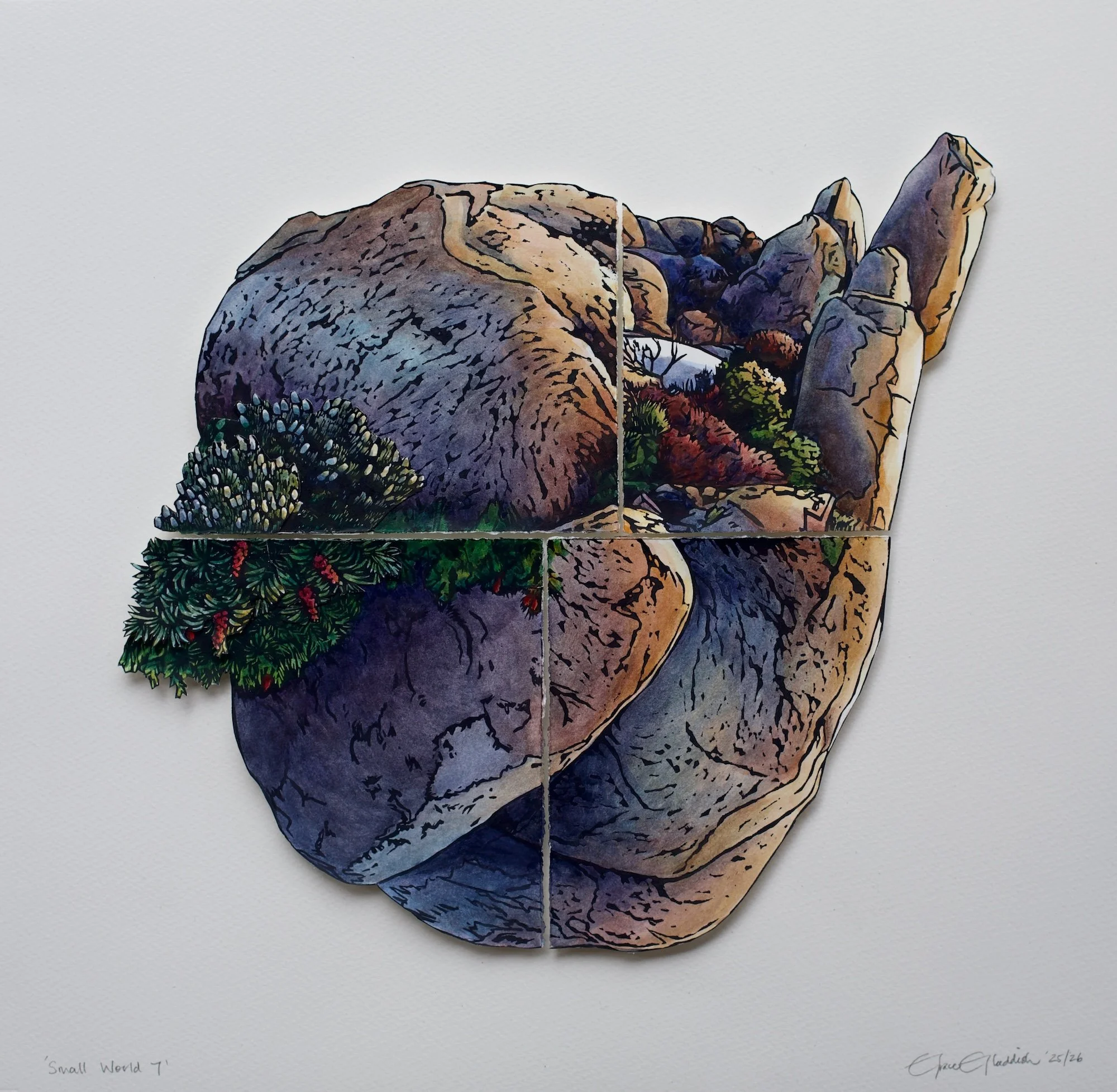 Small World 7   2026   
41.5 cm h x 42.5 cm w 
Available Unframed