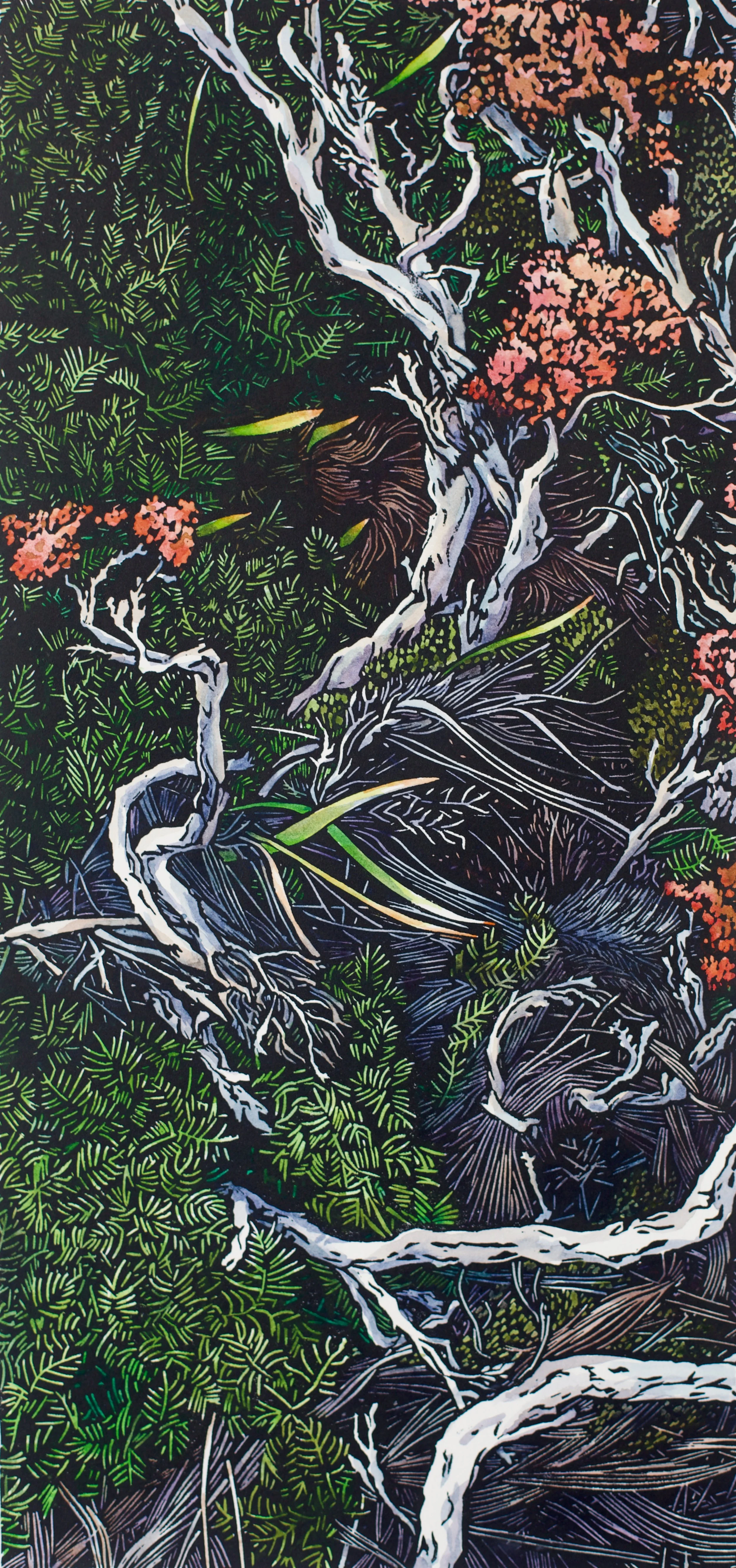'Tangle 2'
30 cm h x 19 cm w
Edition of 10
