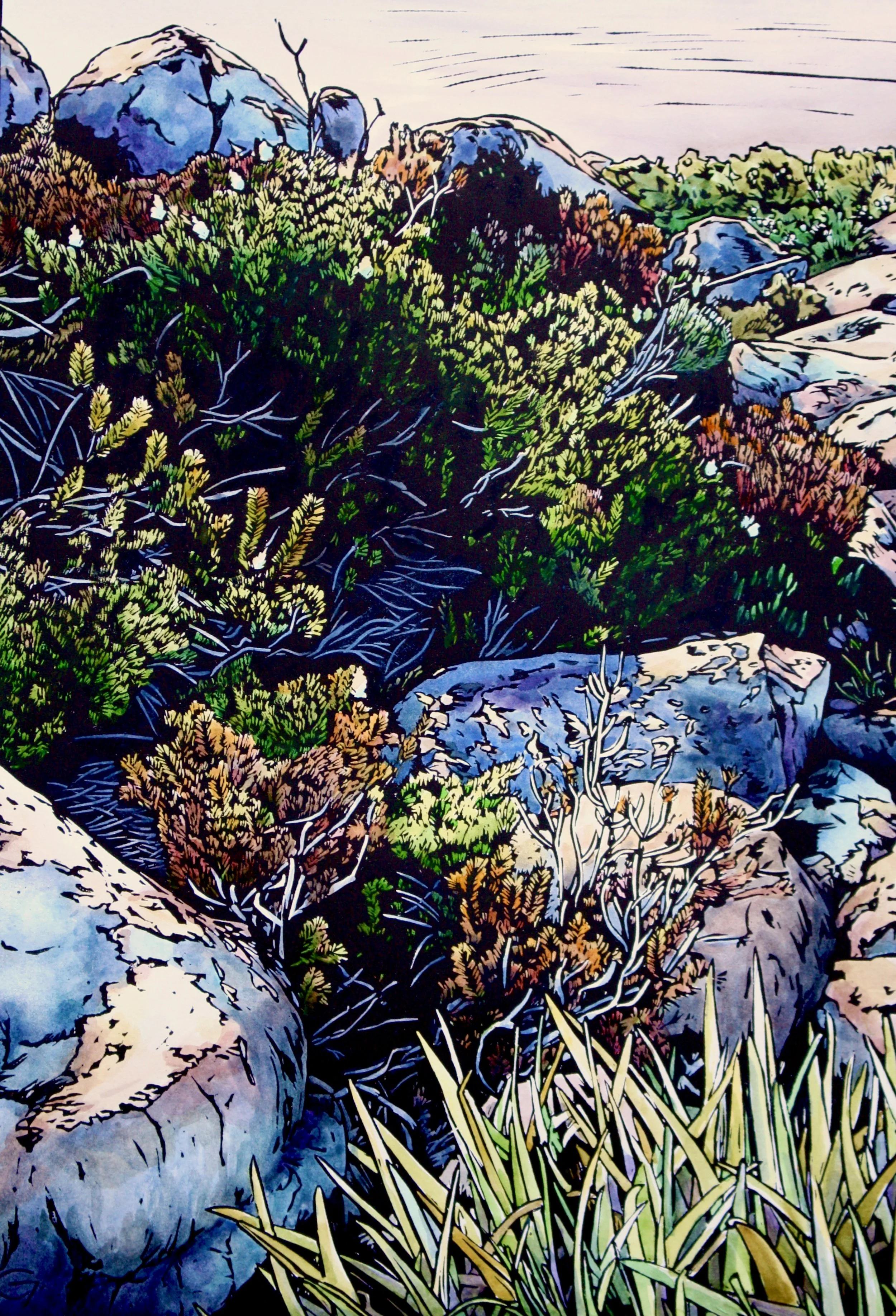 'Summit 14'  2022
40 cm h x 30 cm w
Edition of 25