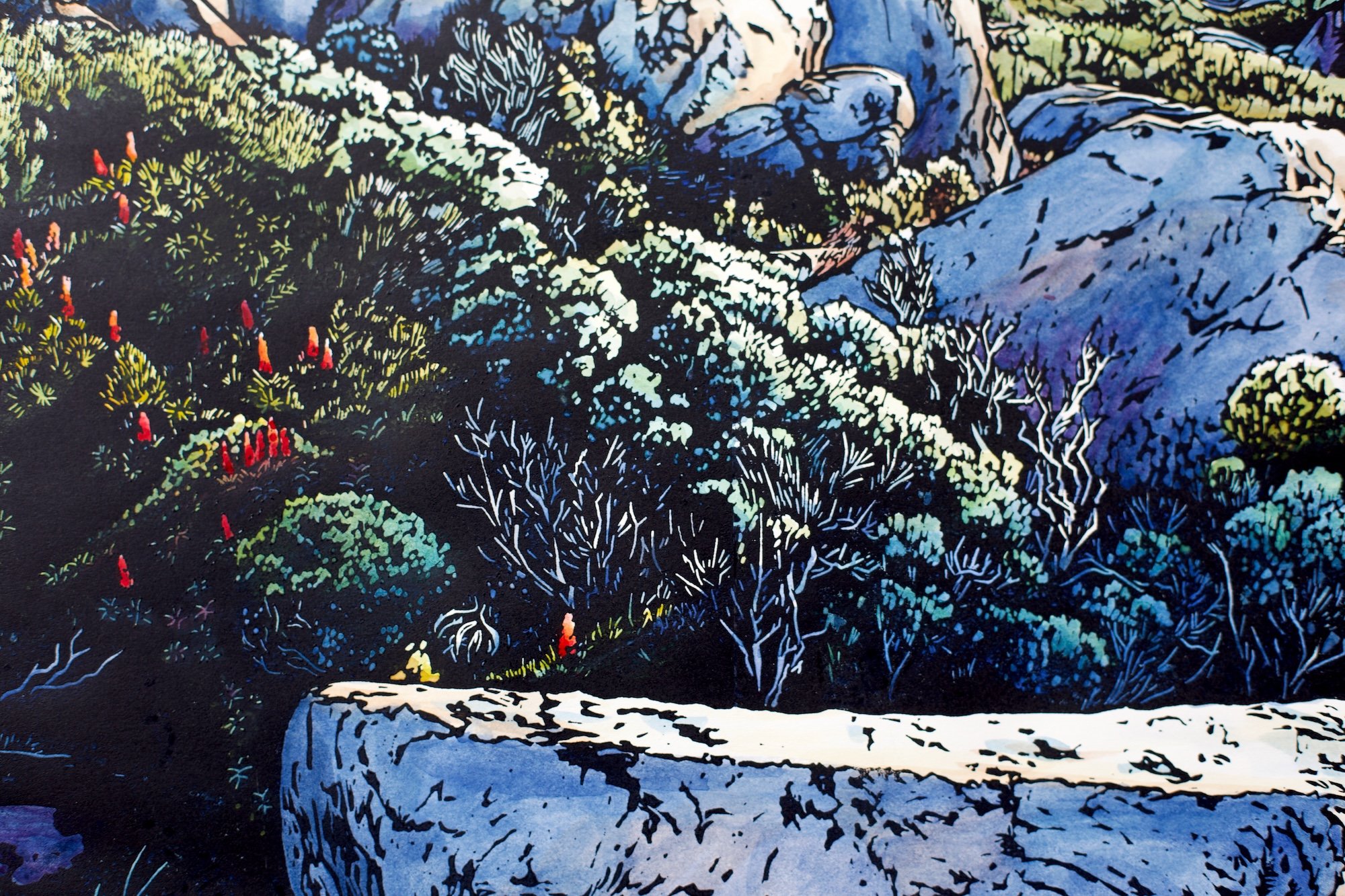 Grace Gladdish Tasmanian Artist alpine landscape