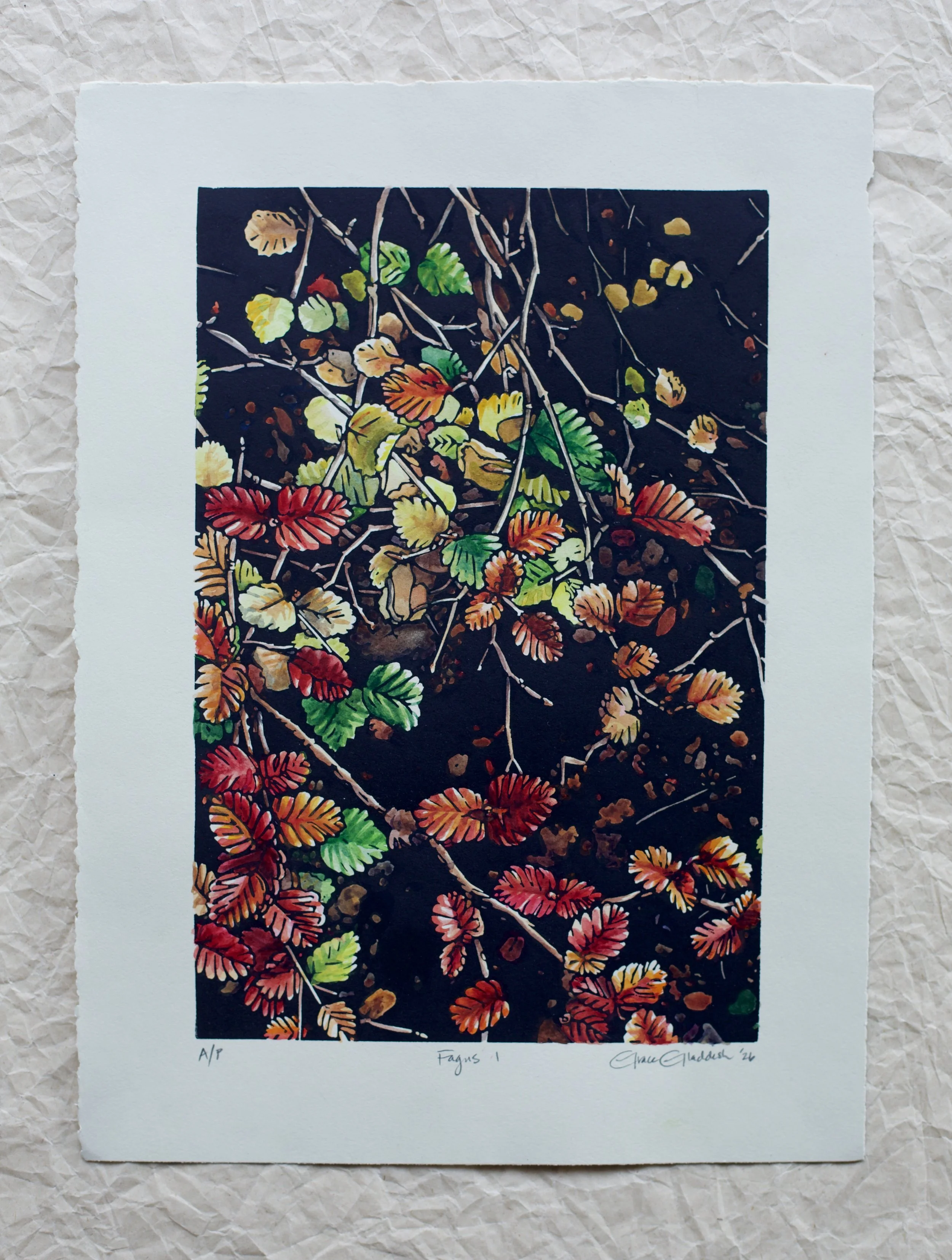 Grace Gladdish Tasmanian Artist linocut