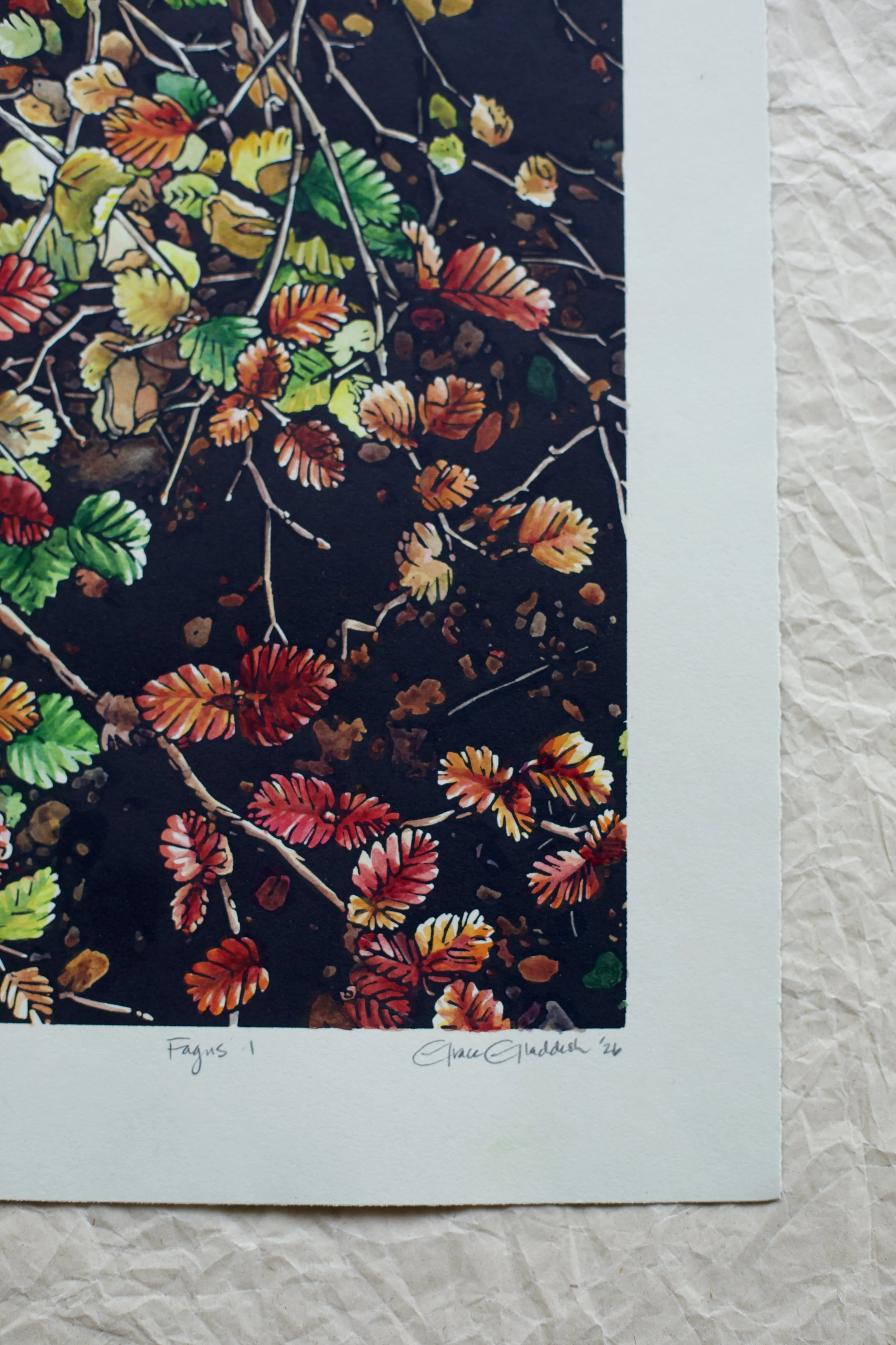 Grace Gladdish Tasmanian Artist printmaker