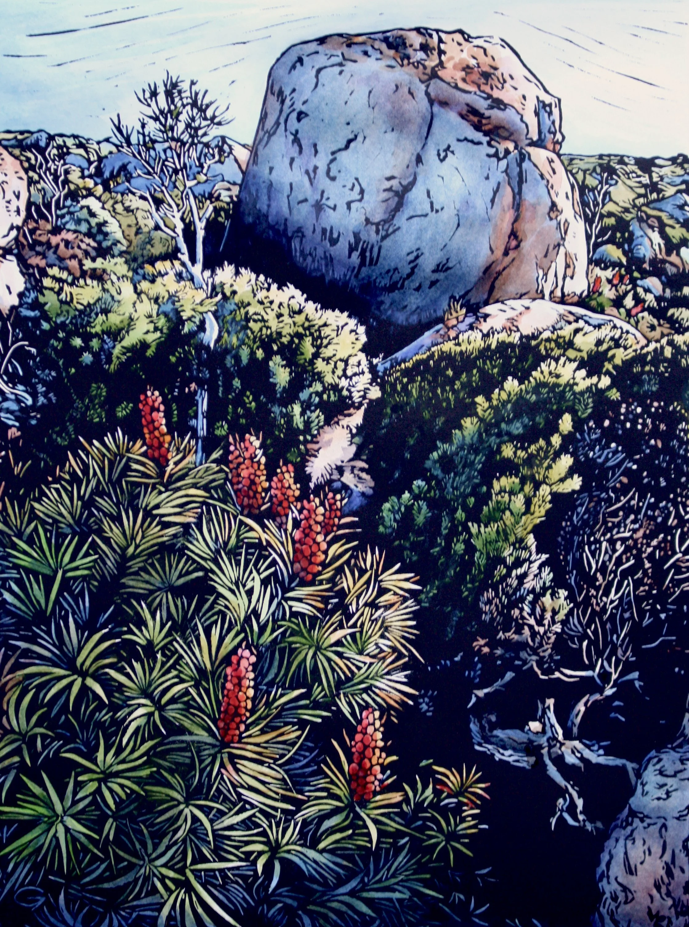 'Summit 15, Summer Glow' 2023
40 cm h x 30 cm w
Edition of 10