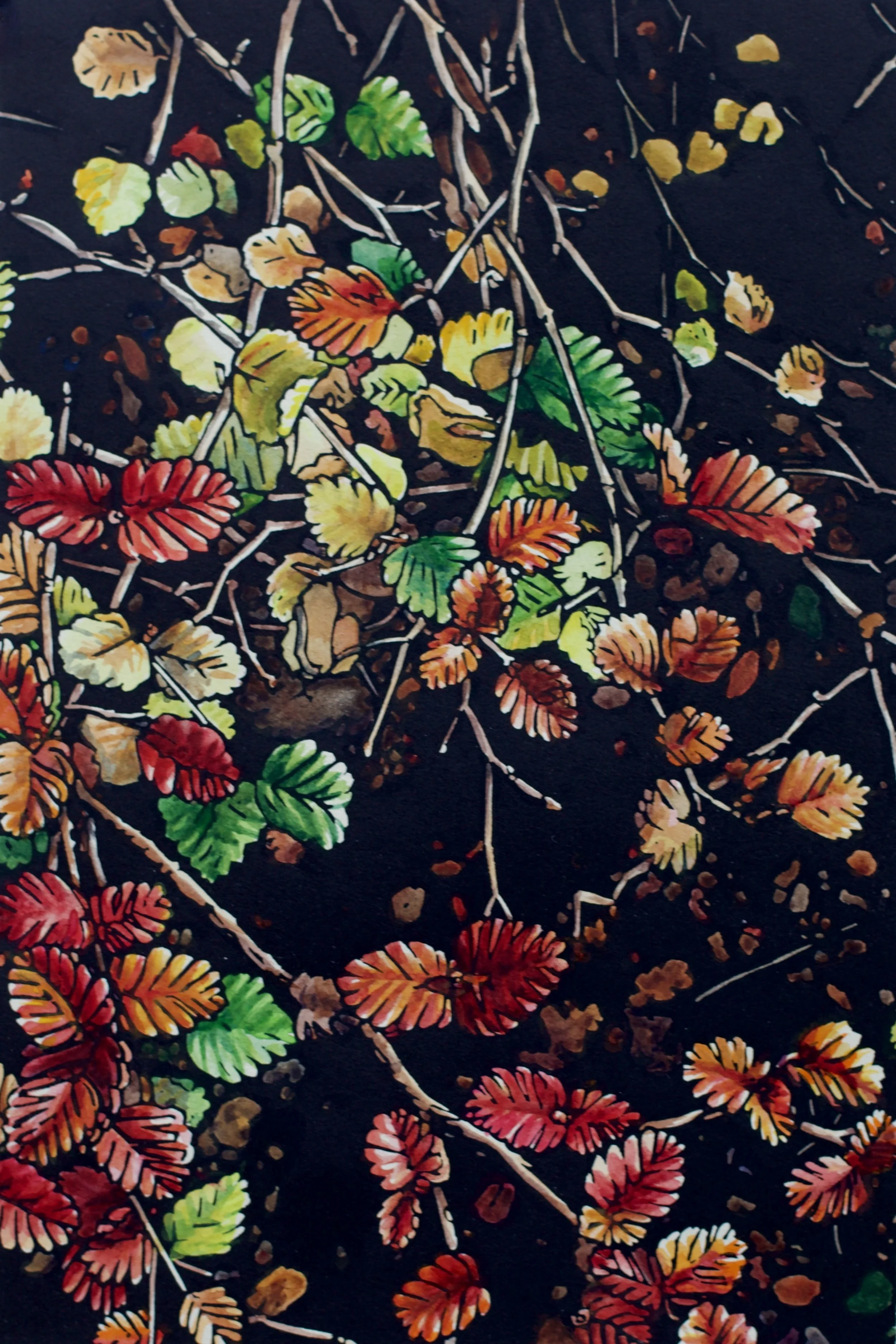 Grace Gladdish Tasmanian Artist printmaker