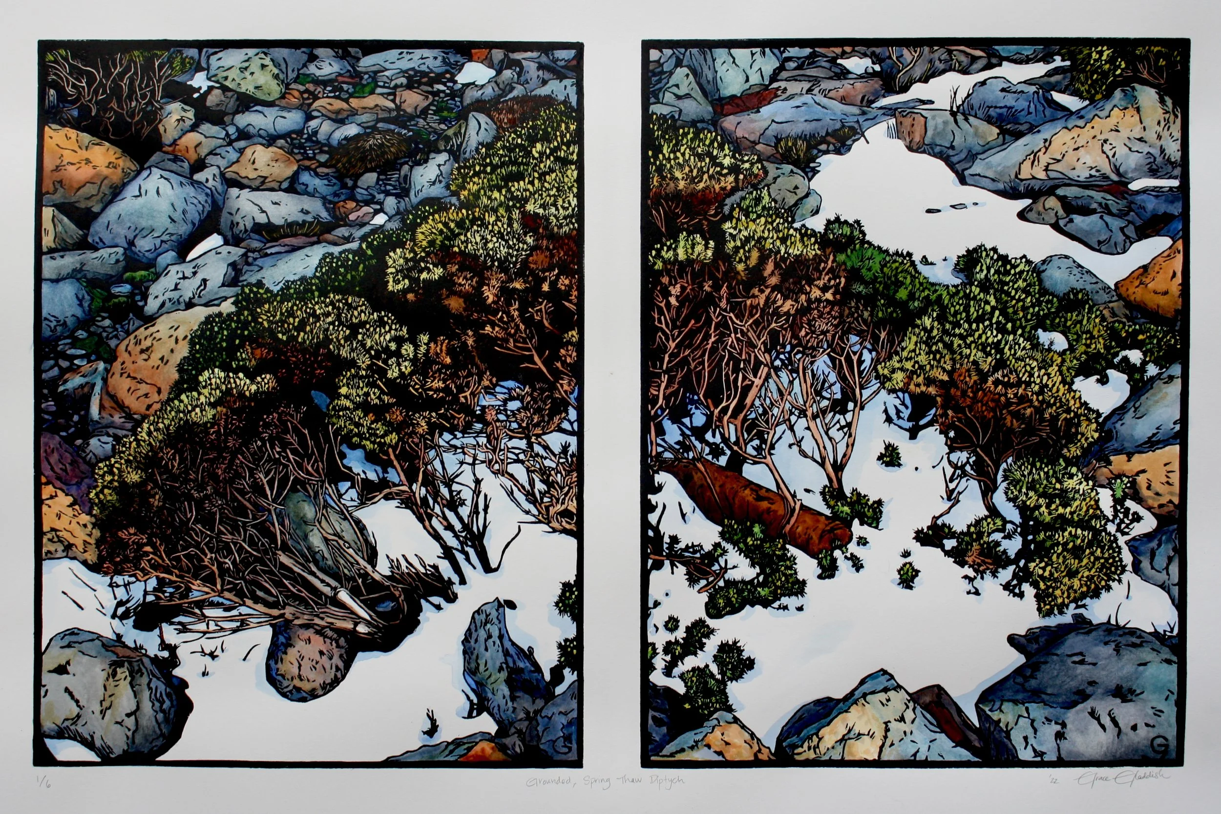 'Grounded, Spring Thaw Diptych' 2023
40 cm h x 63 cm w
Edition of 6 with AP  SOLD OUT