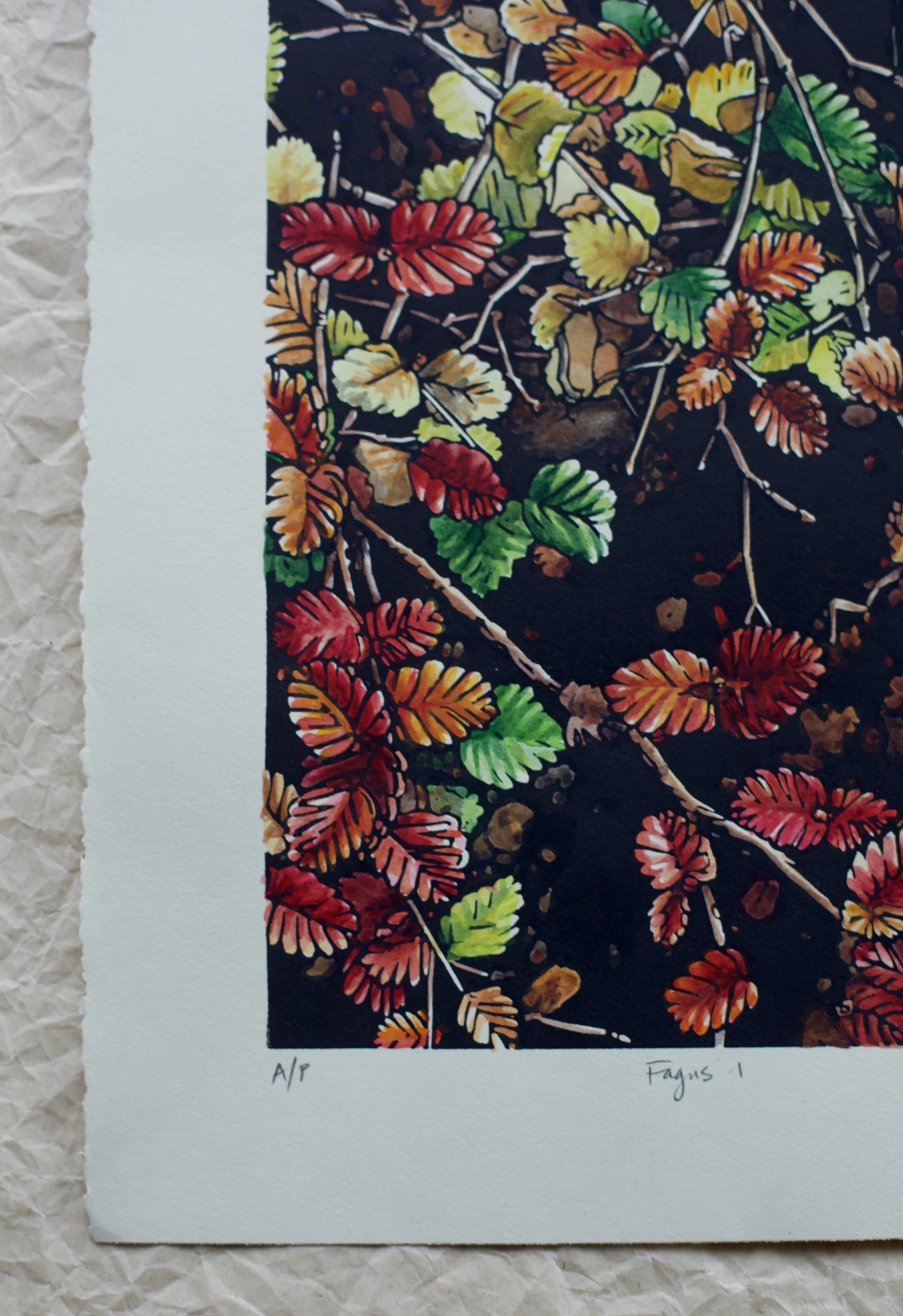 Grace Gladdish Tasmanian Artist