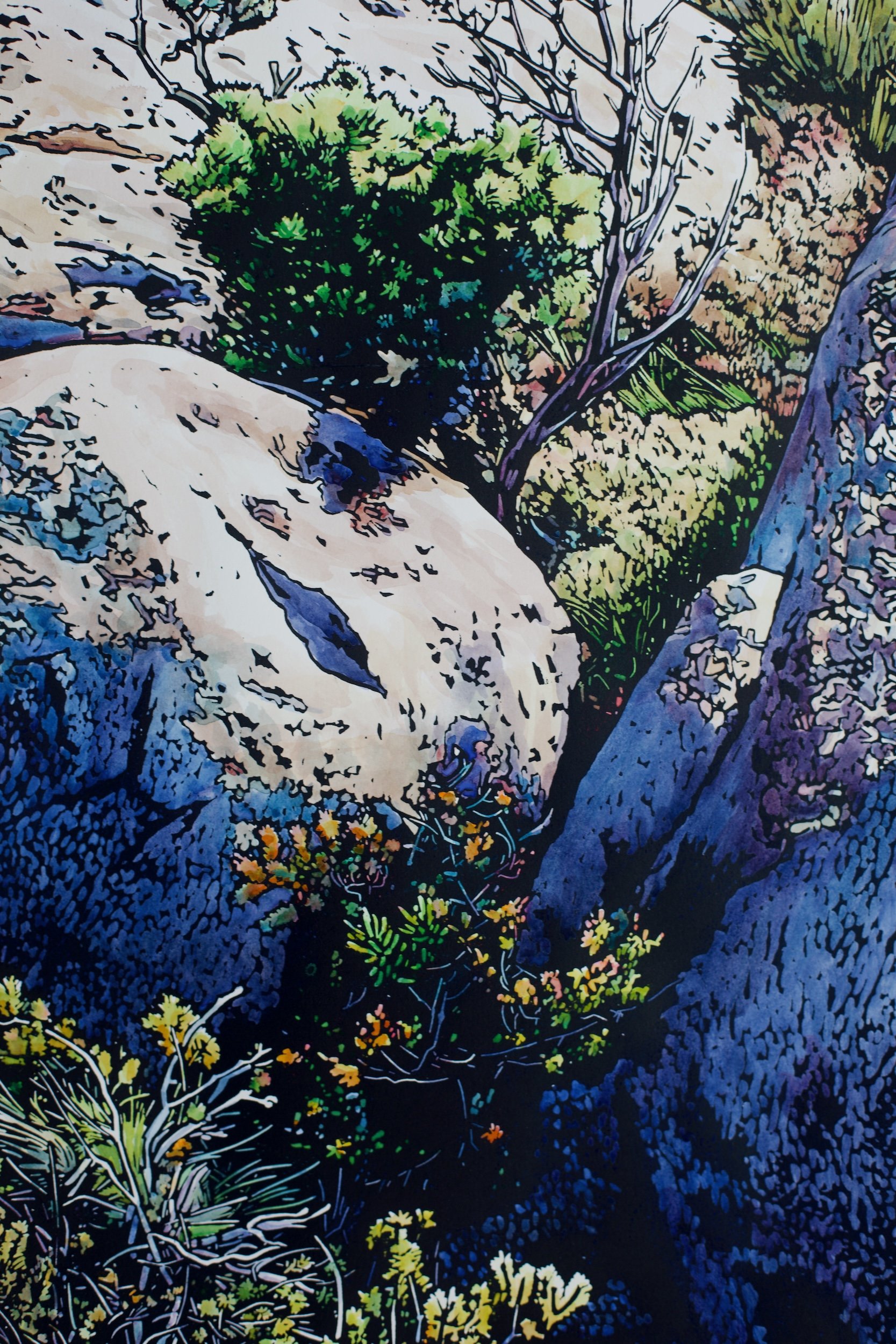 Grace Gladdish Tasmanian Artist