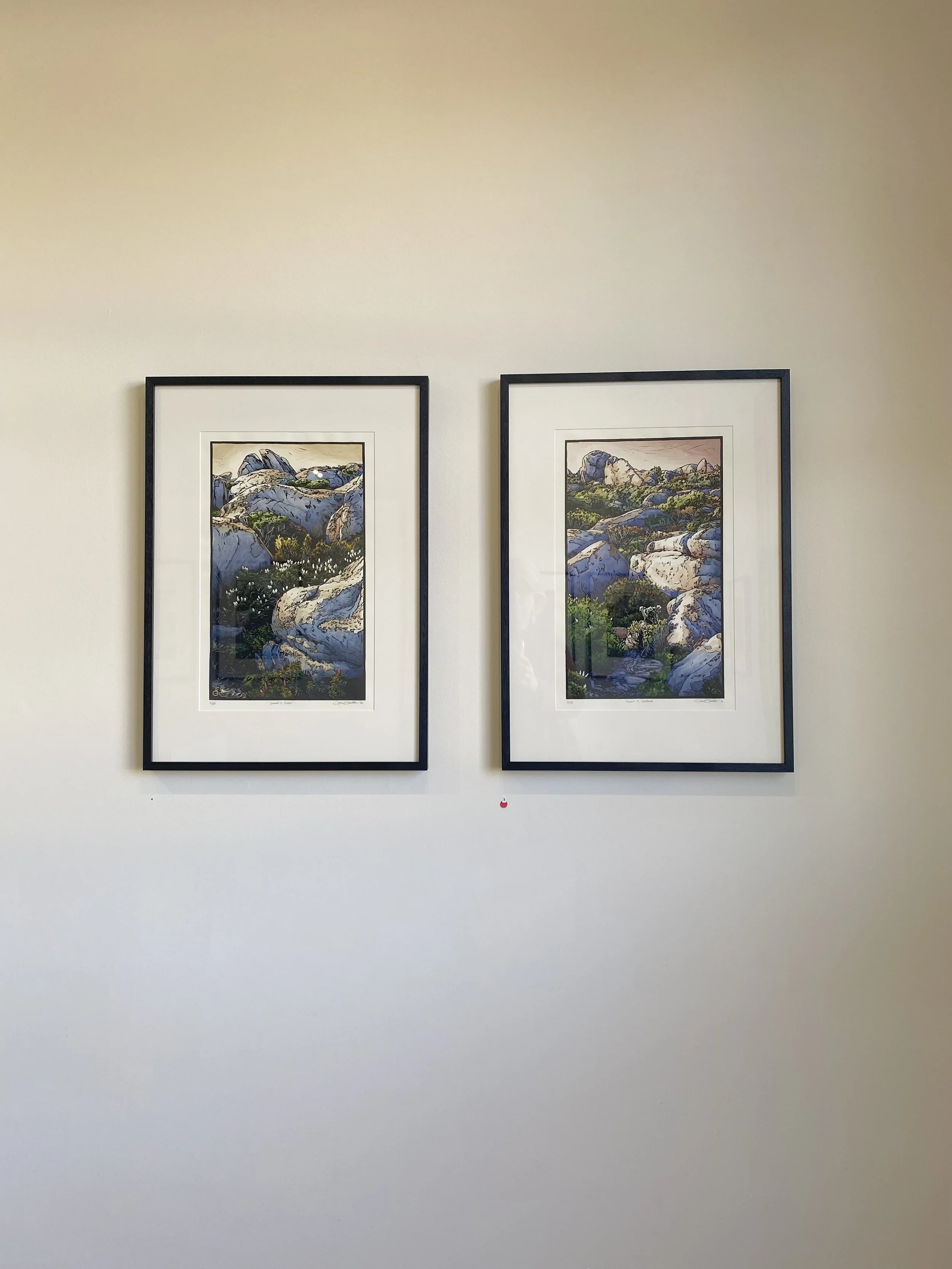 IMG_6216.jpeg